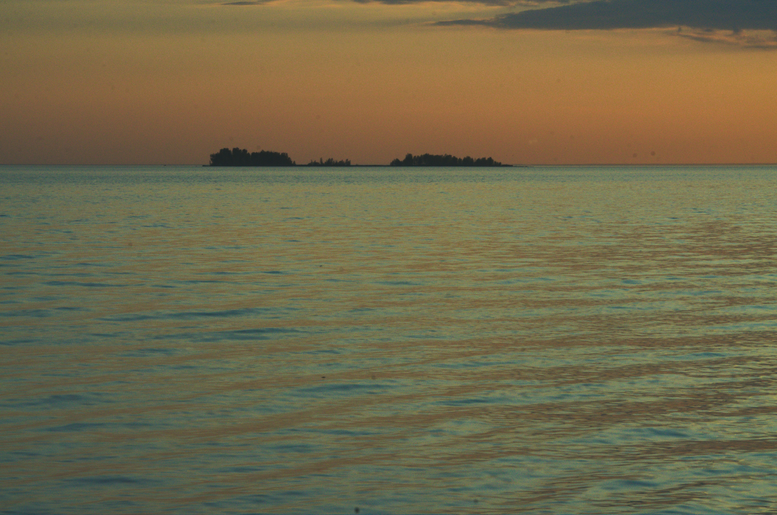 Новосибирск обское море на закате