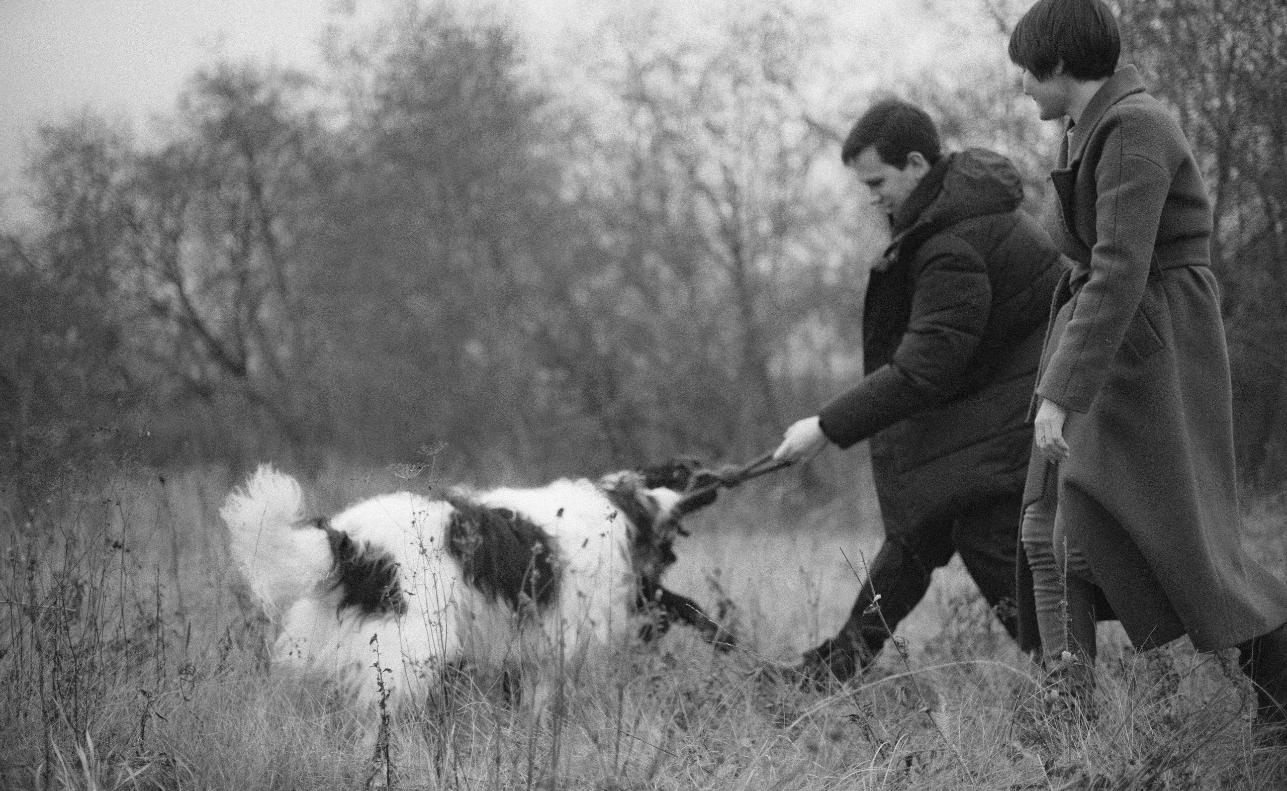 Даша, Глеб, Барс и Бруно. Фотограф-анималист Богданова Полина