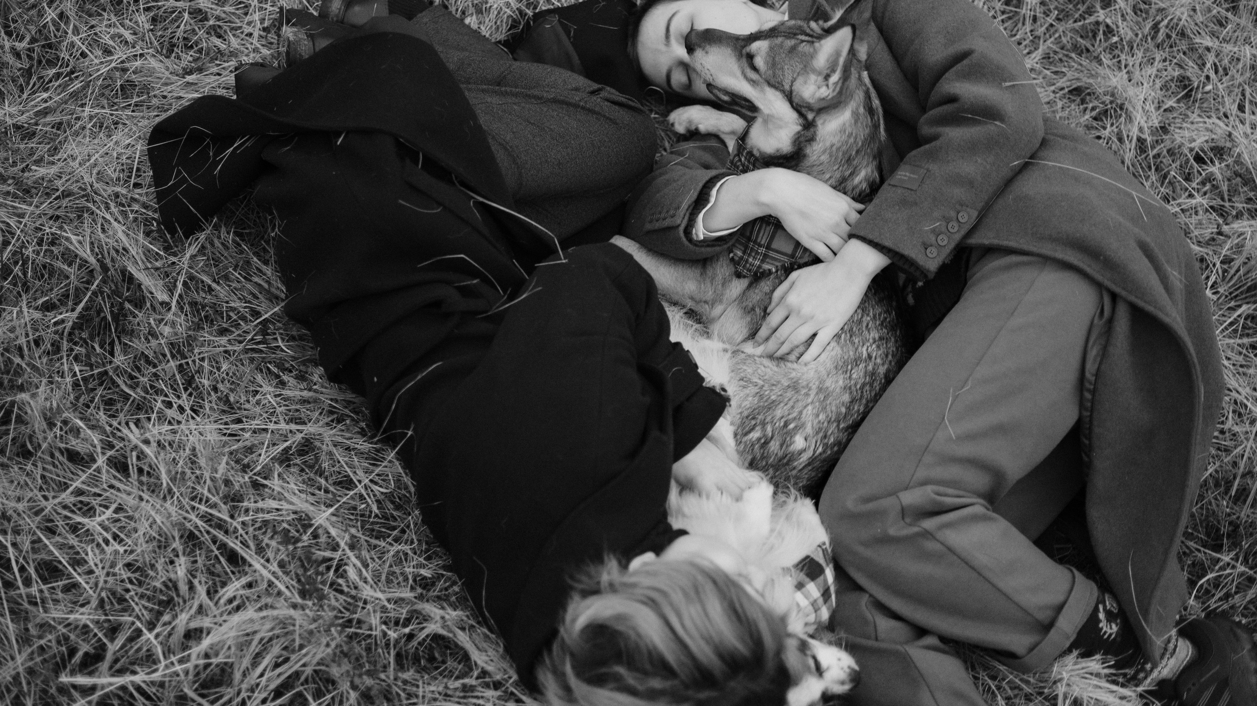 Маша, Катя, Астрид и Мася. Фотограф-анималист Богданова Полина