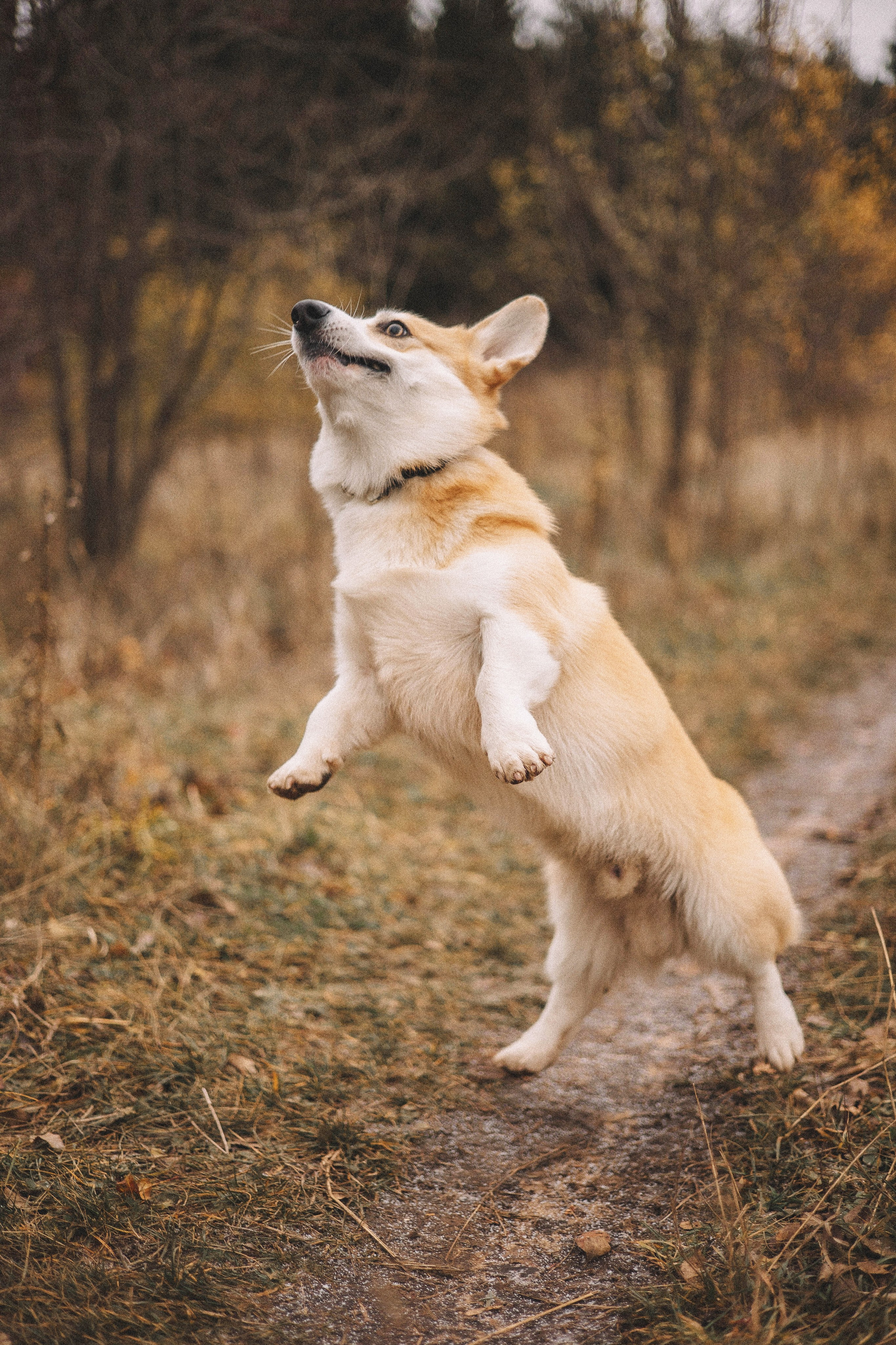 Юля и барри. Фотограф-анималист Богданова Полина