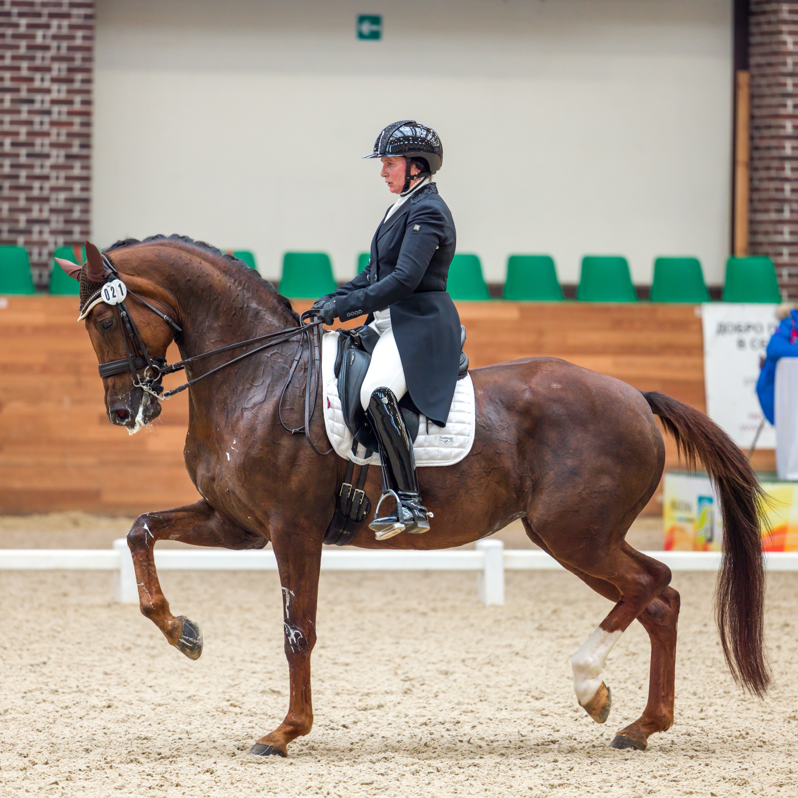 Выездка. Mrs.Aquarelia Конный фотограф Марианна Леонтьева