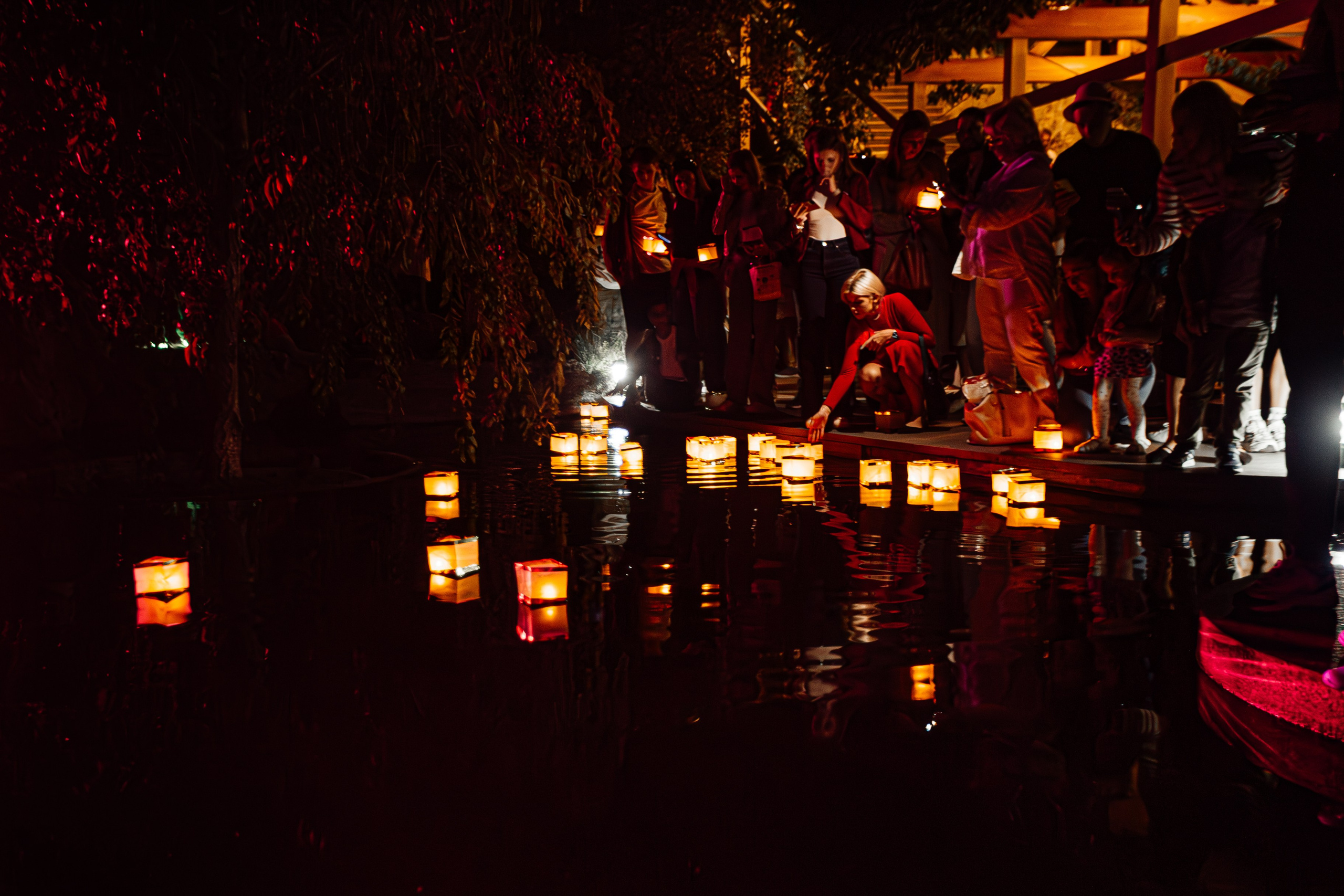 Мрия_Японский_сад_5.10.2024. Аминов Руслан | Фотограф