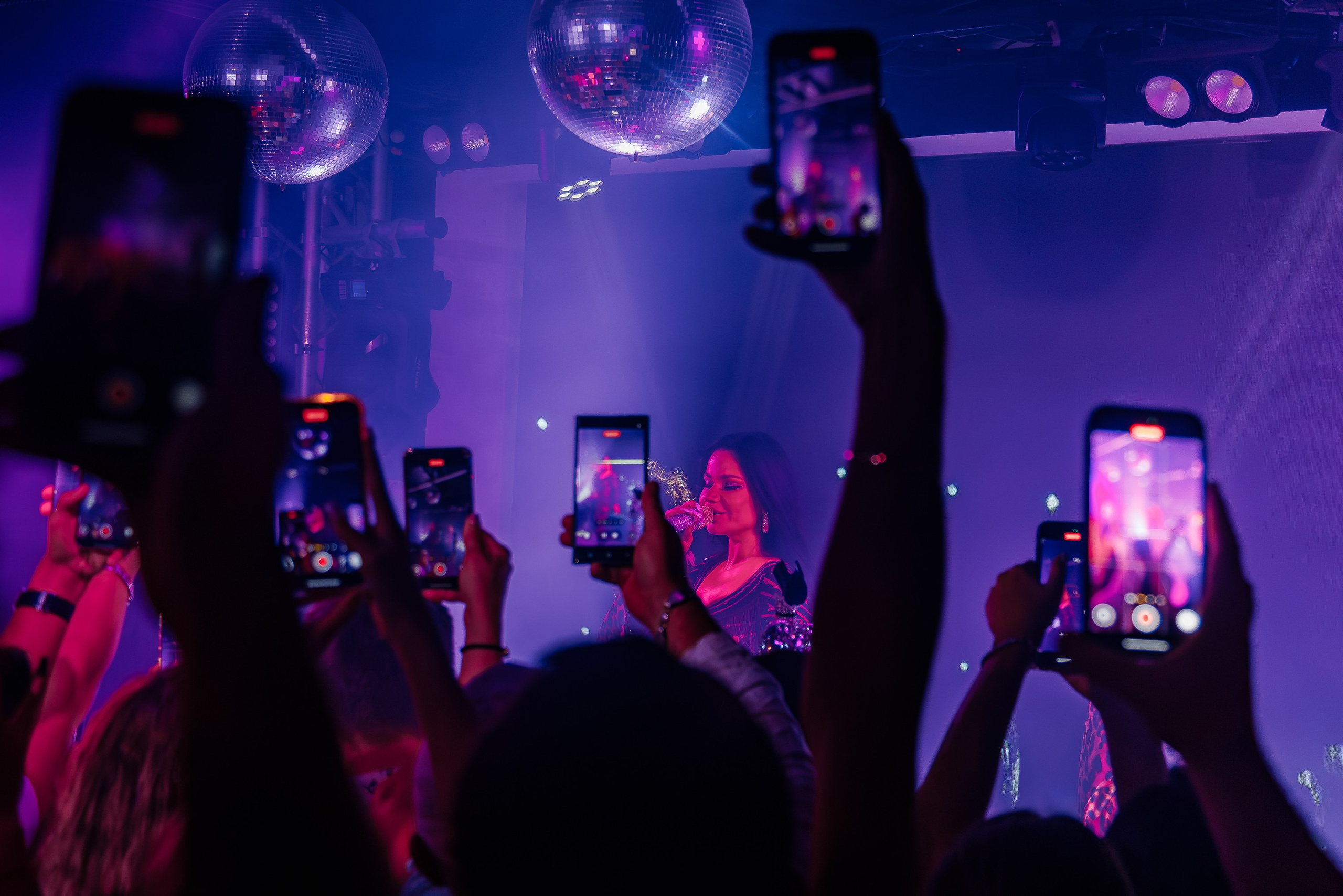 «Бьянка"_Чайка на пляже_Ялта_25.07.2025 г. Аминов Руслан | Фотограф