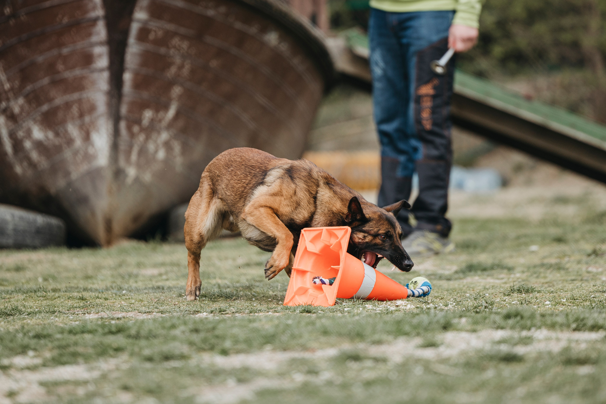 Геленджик Мондьоринг. Фотограф-анималист Анна Маринич