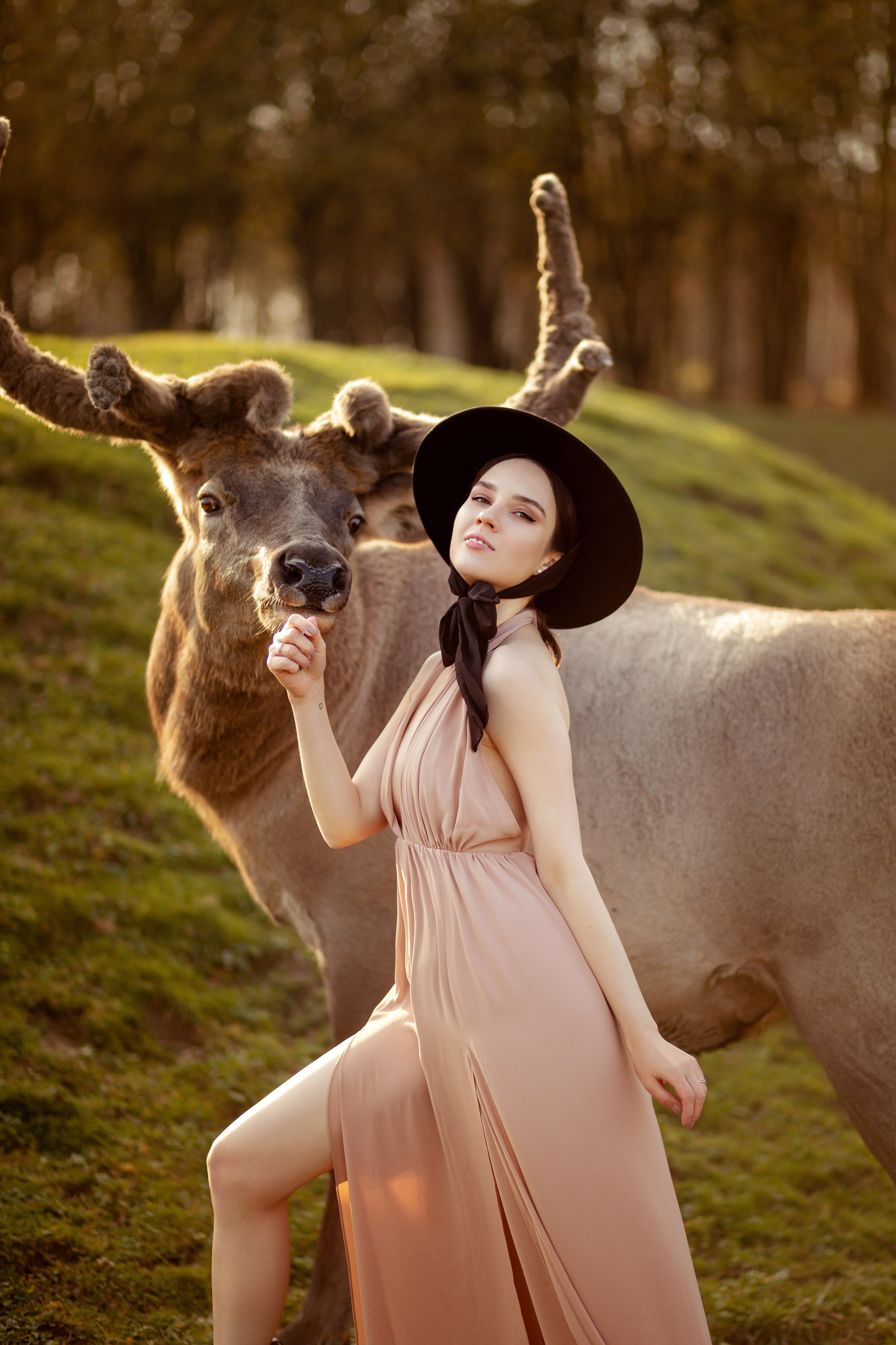 Девушка в черной шляпке на фоне зеленого луга и оленя.