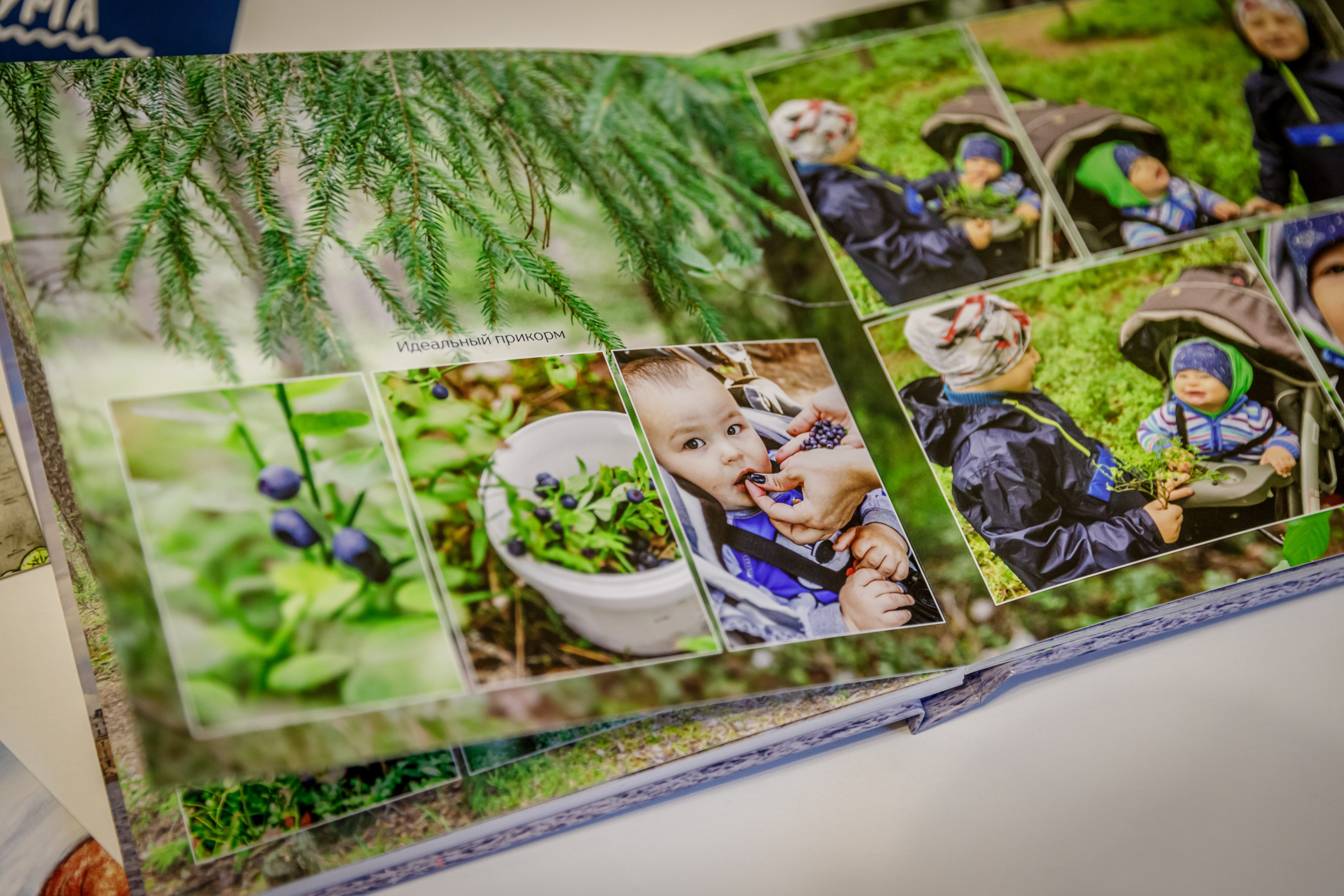 Фотокниги на заказ. Марина Ушакова. Фотограф. Выпускные альбомы. г. Краснодар