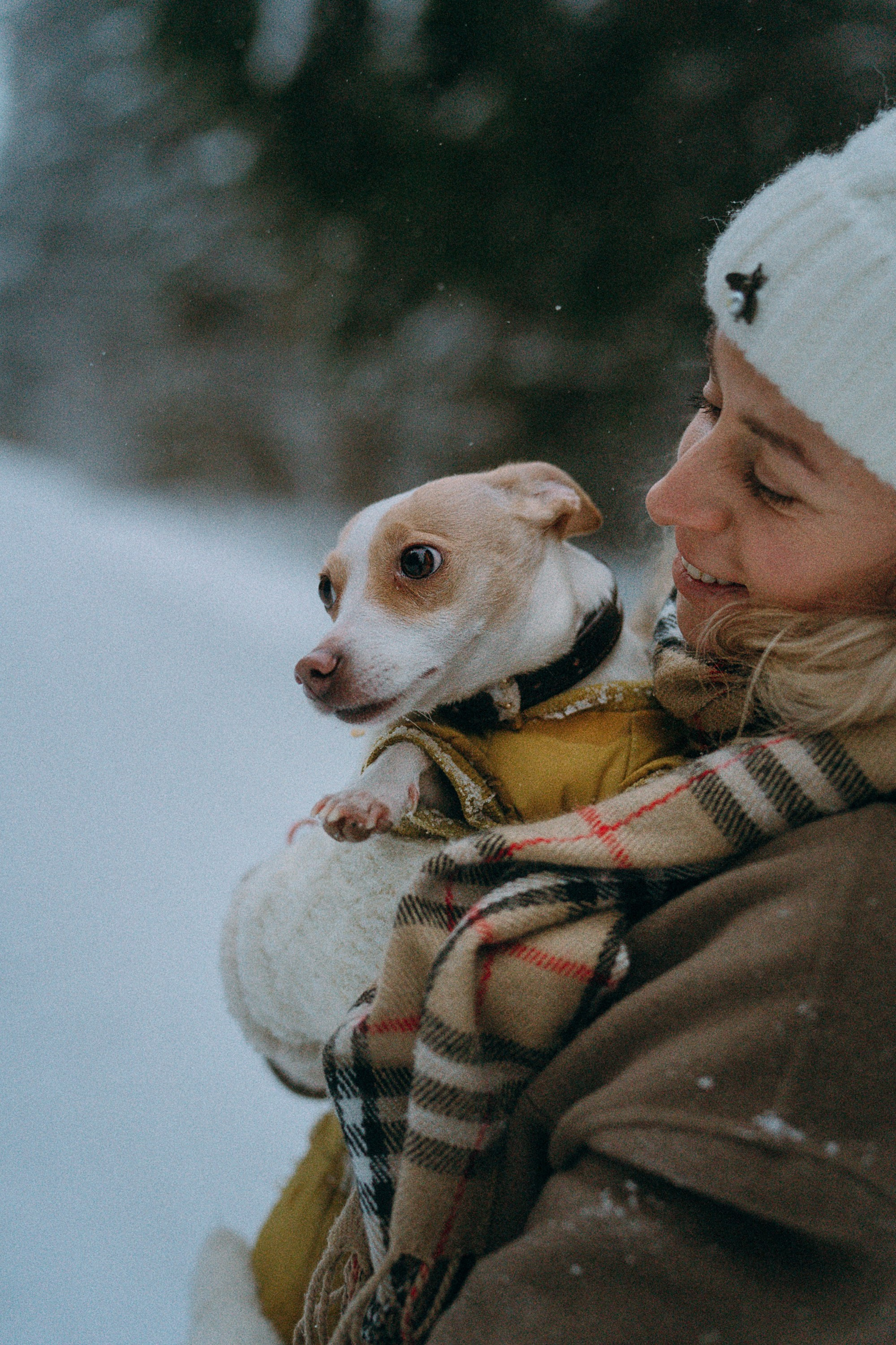 Алина, Ваниль и Элис. Фотограф анималист в Москве и Санкт-Петербурге Свиридова Анна