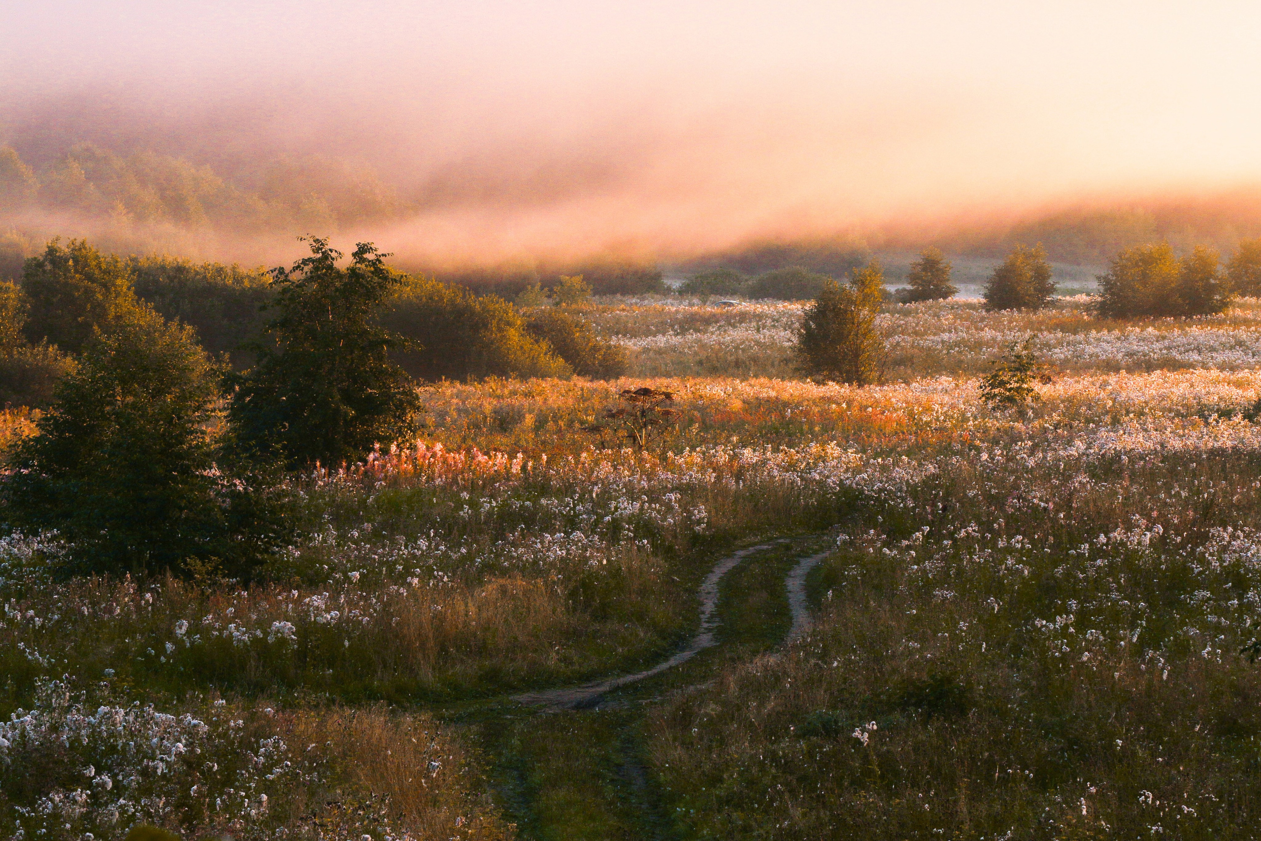 ПЕЙЗАЖ. Фотограф Николай Костюк