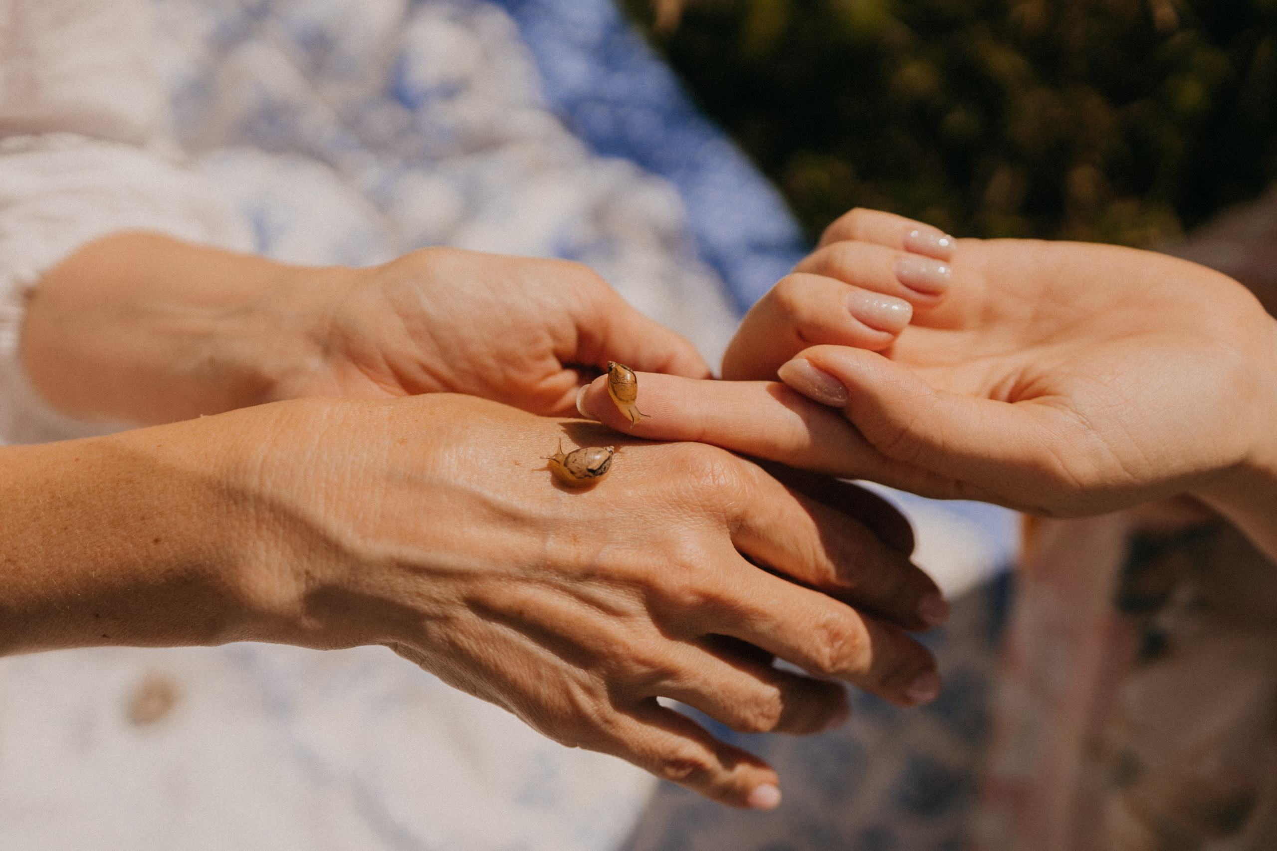 Когда день рождения летом. Фотограф Настя Леонова