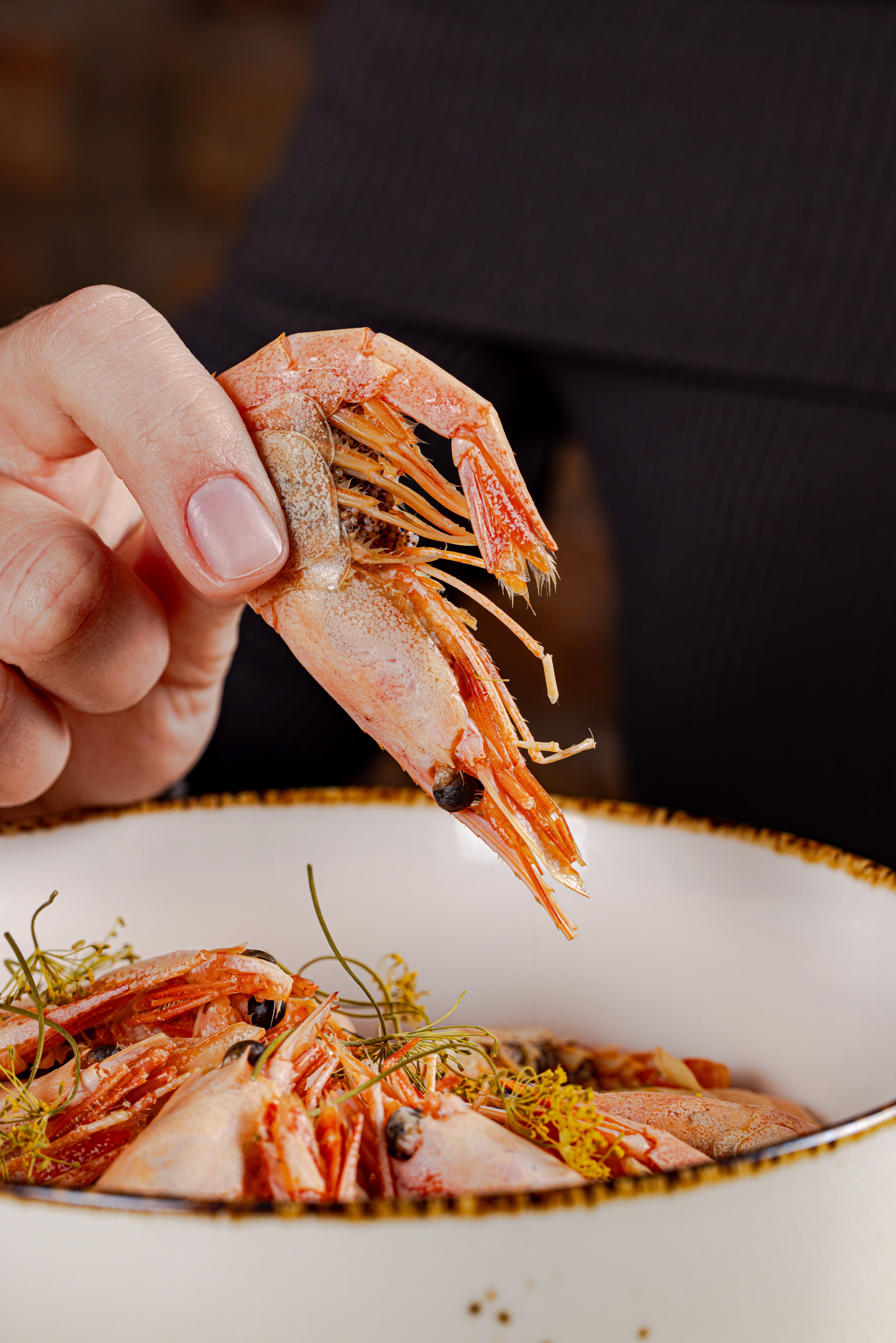 Раки и Гады