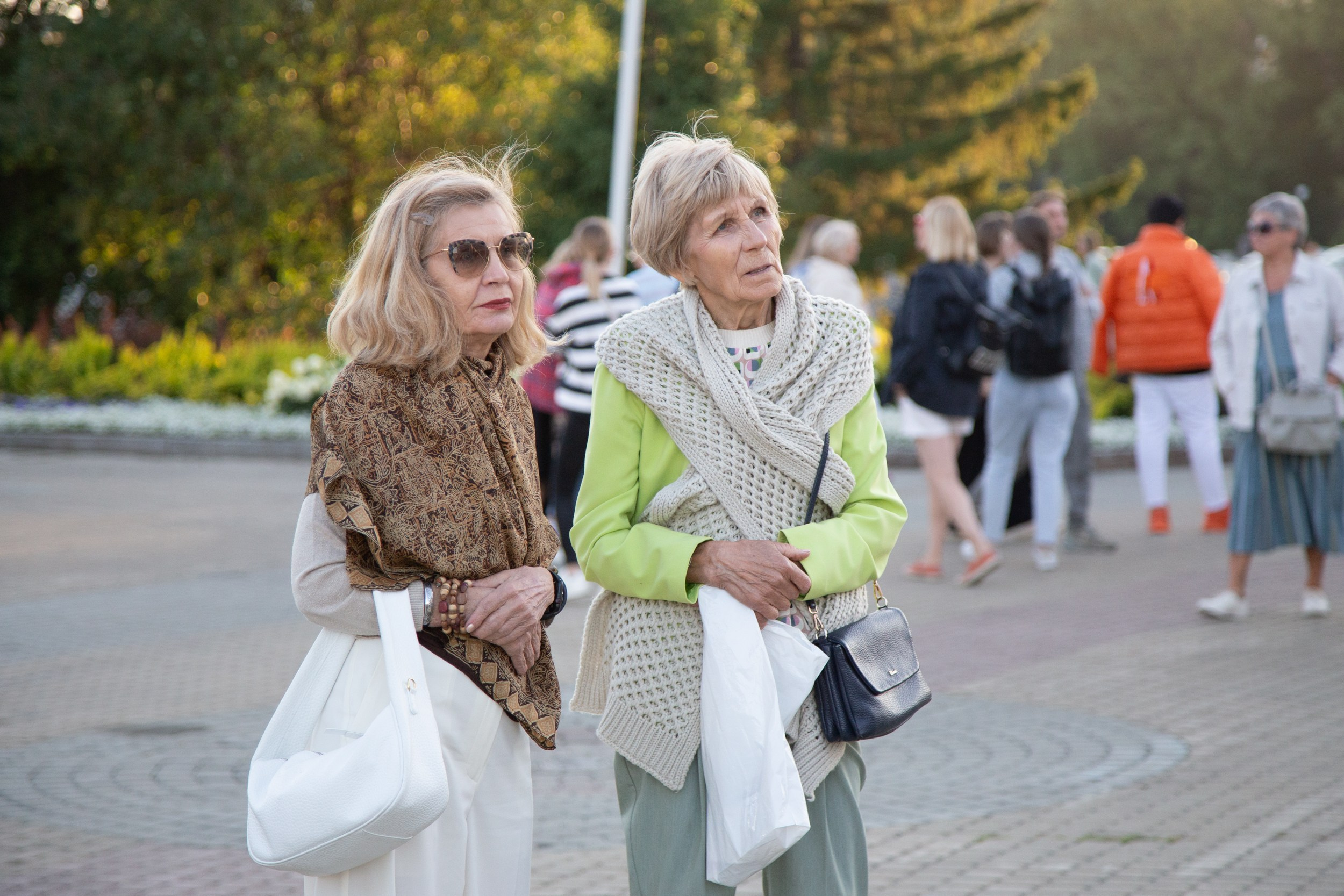 Венский фестиваль. Главная