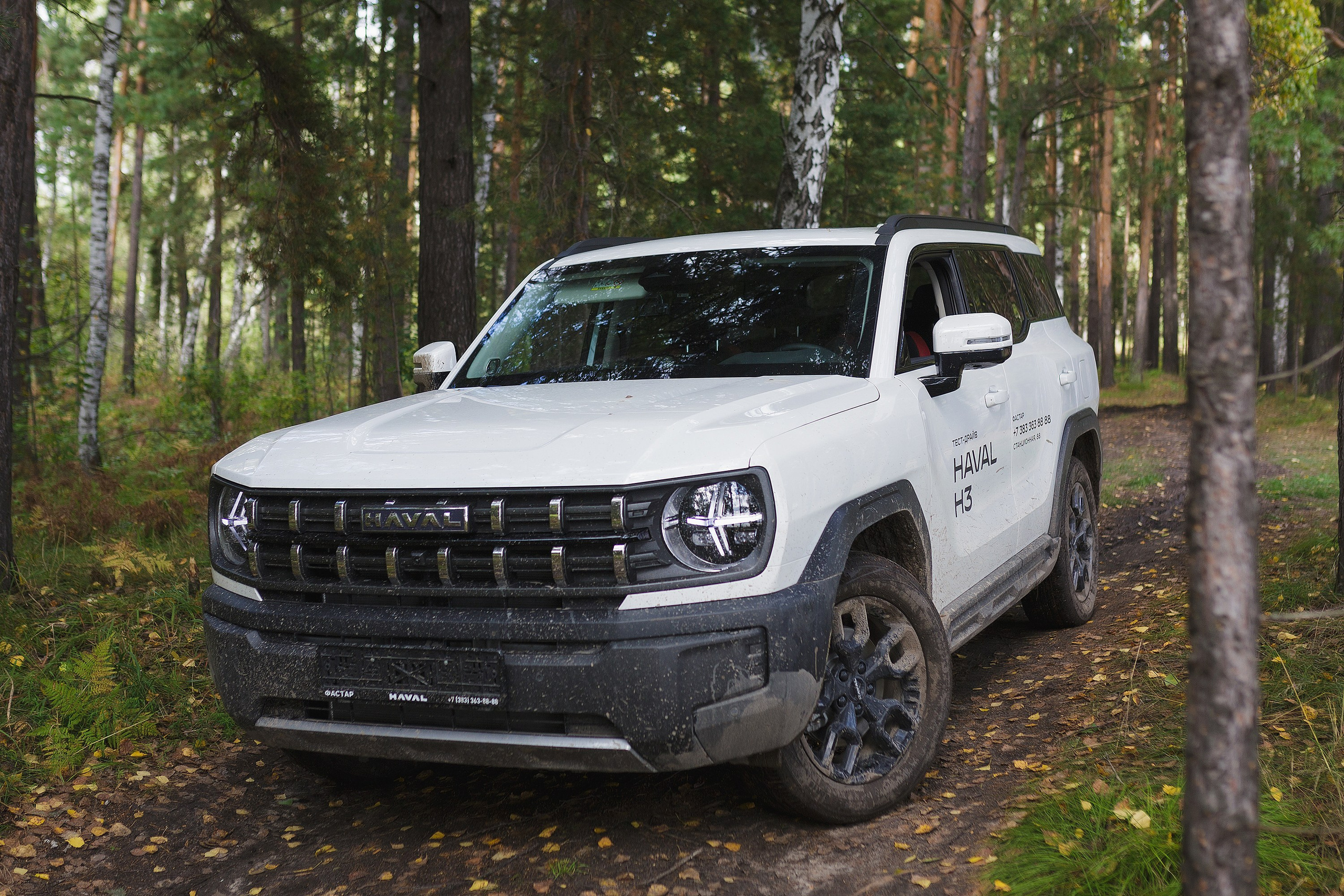 АВТО. Roman Photo