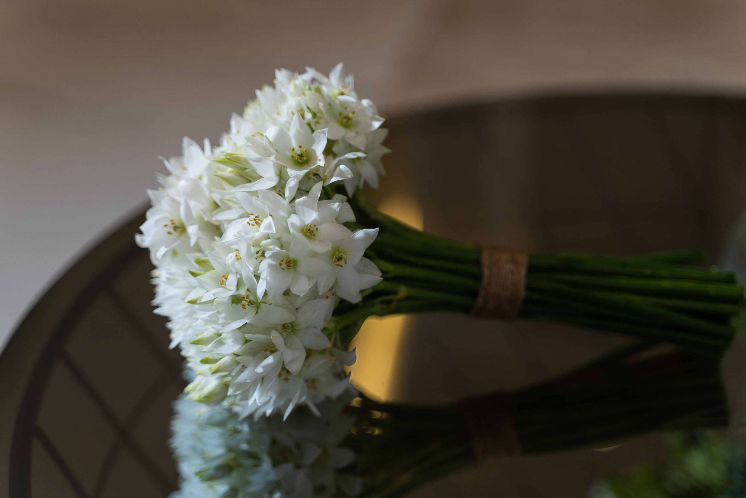 Арабская скромная помолвка дома (приватность на женские лица). Фотограф и видеограф в Москве и Абу Даби Мария Кулагина