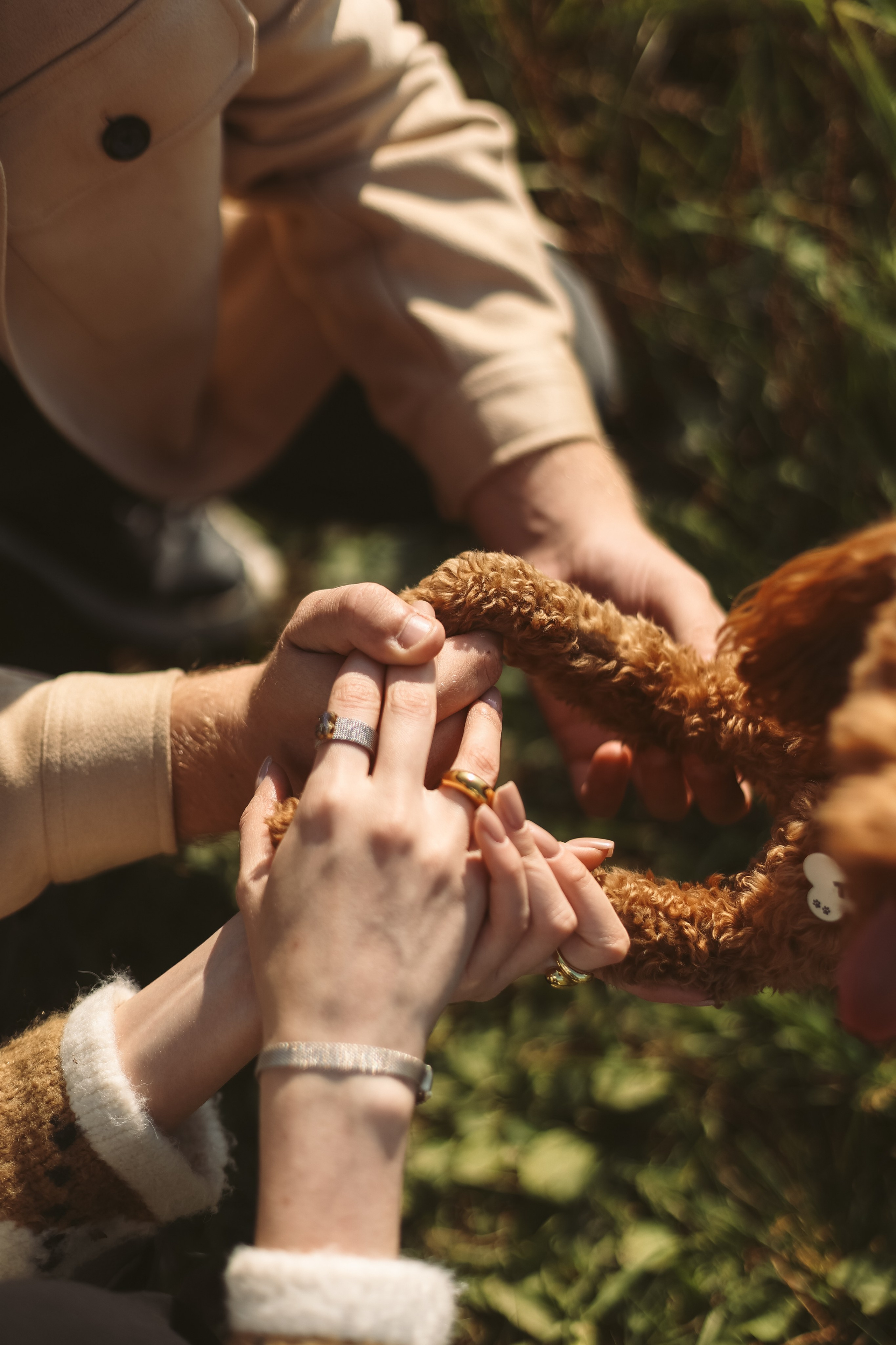 Дима, Настя и песик Тим | история любви. Фотограф в Нижнем Новгороде Креава Ира