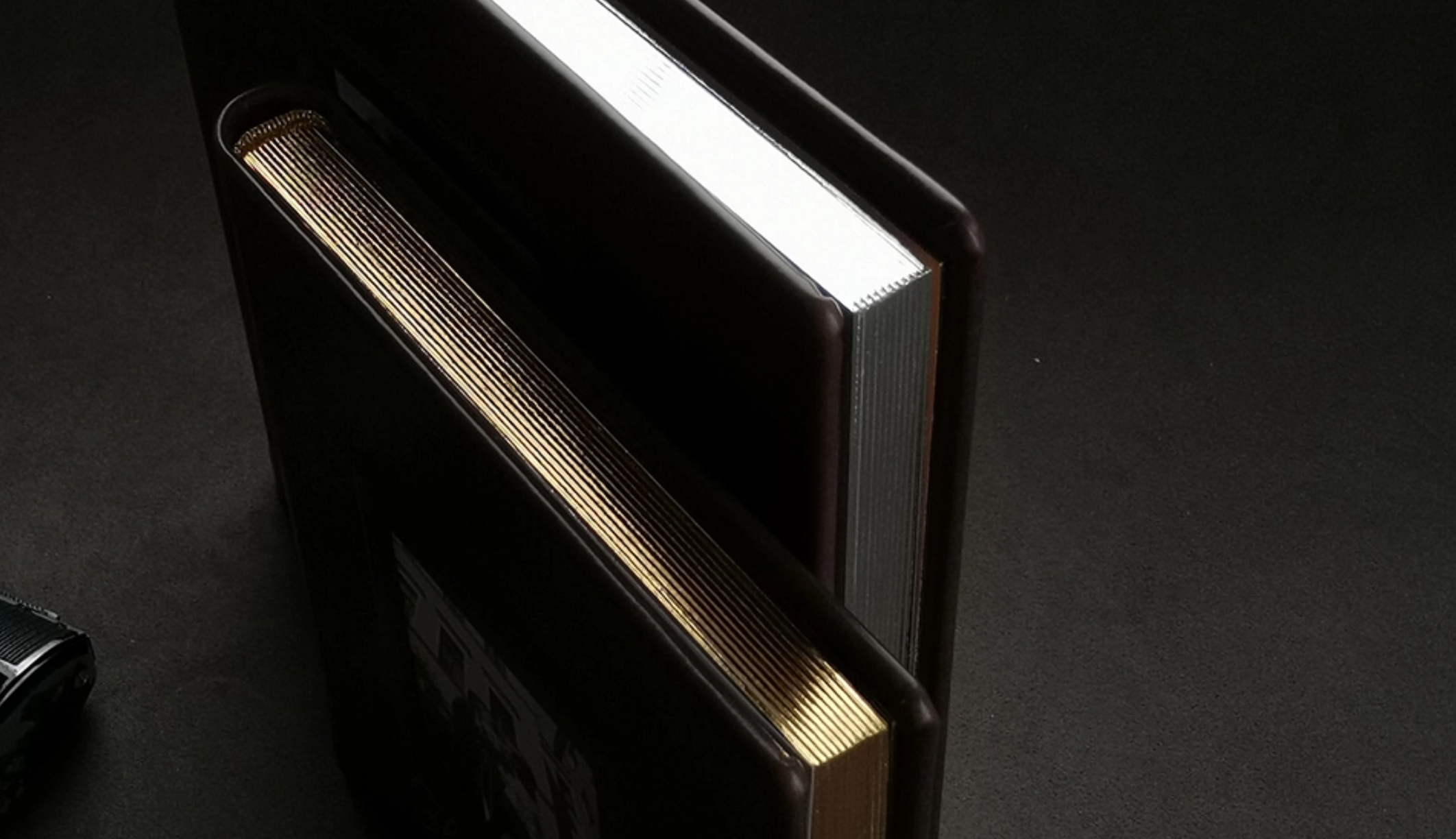 Книга Экокожа. Фотограф новорожденных малышей в Санкт-Петербурге