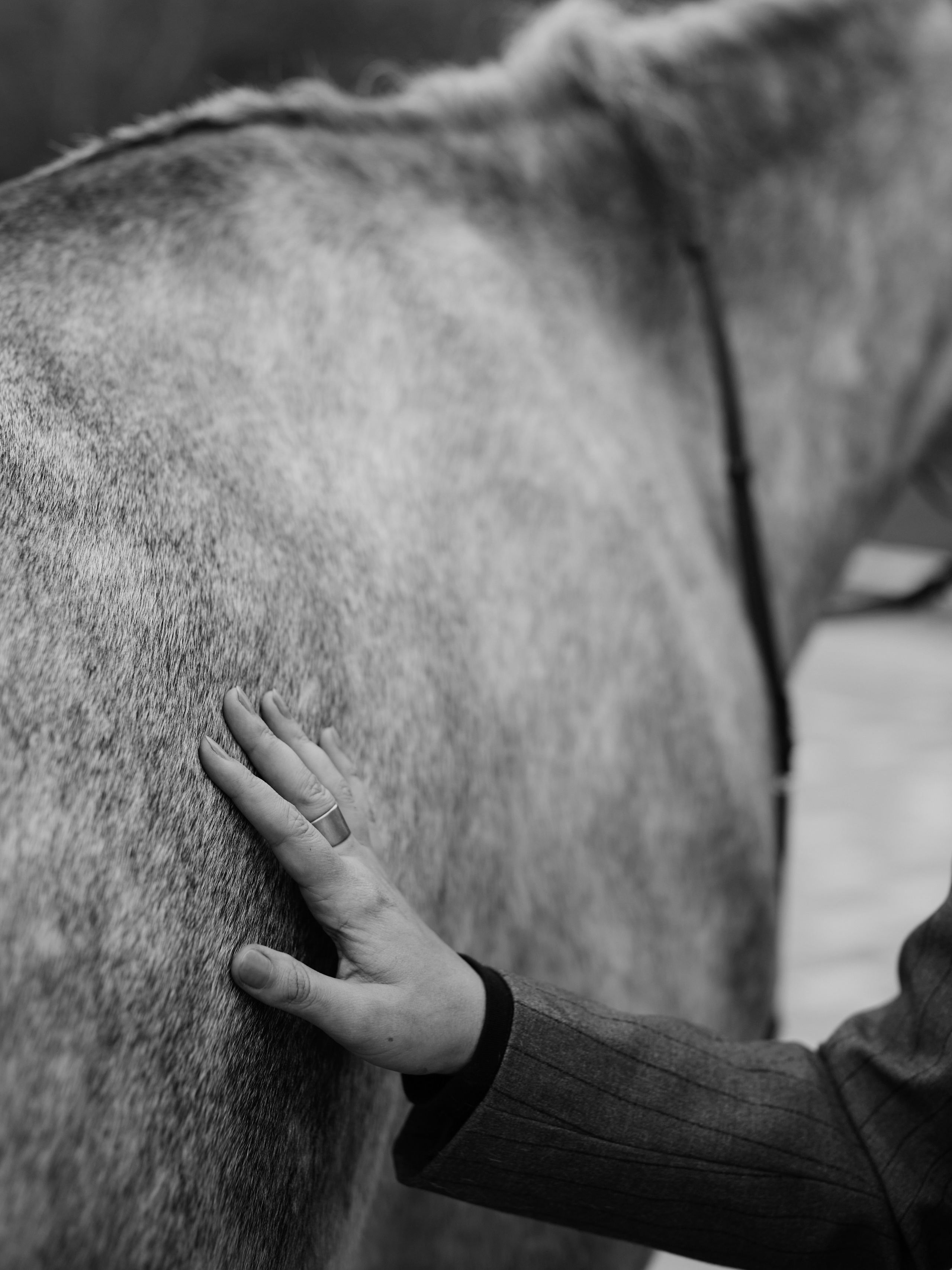 Прогулка с конем. Gerasko Aleks — Портрет, кричащий тишиной