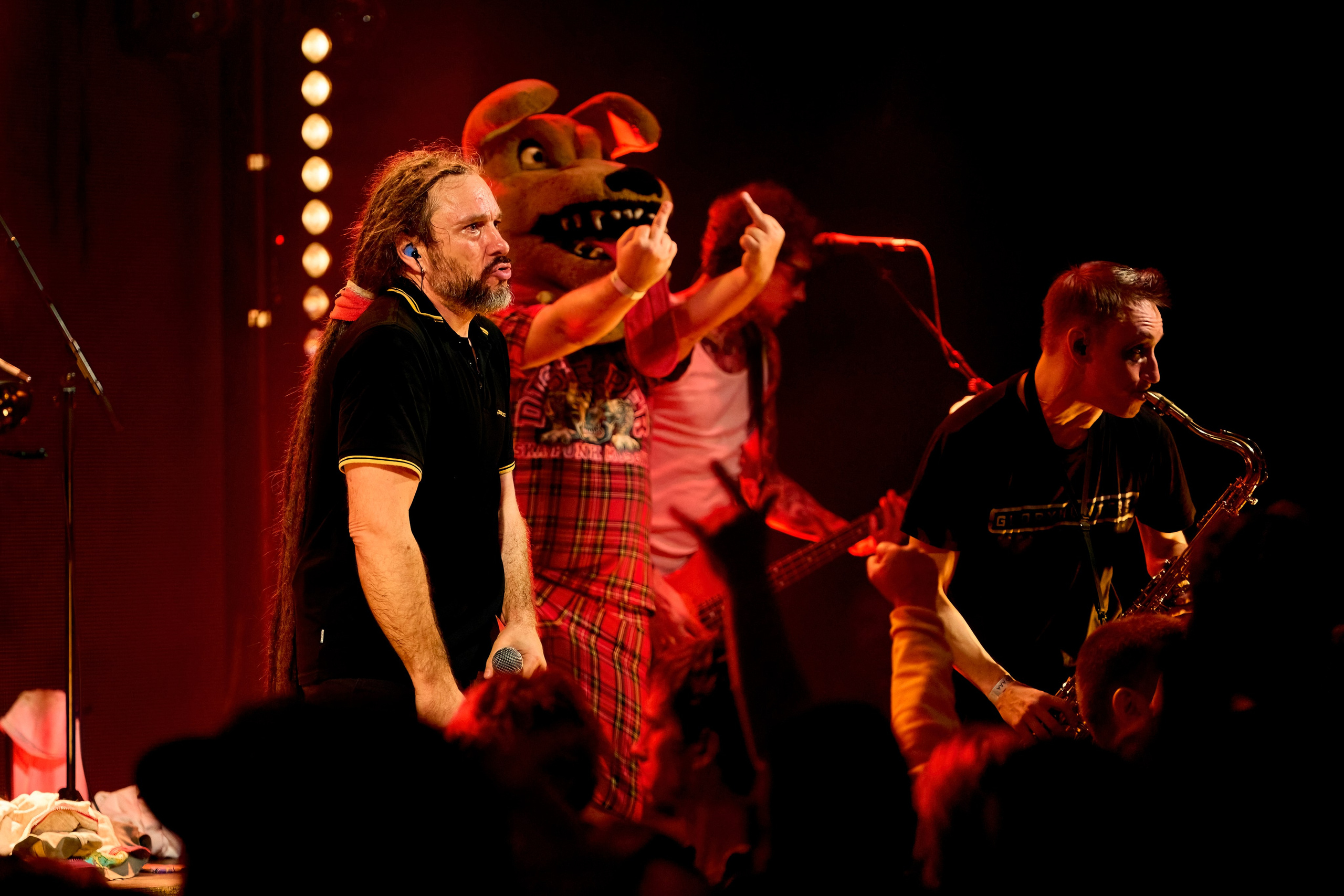 DISTEMPER / AGLOMERAT / 24.11.2023. Ekhovanov | фото- видеосъемка