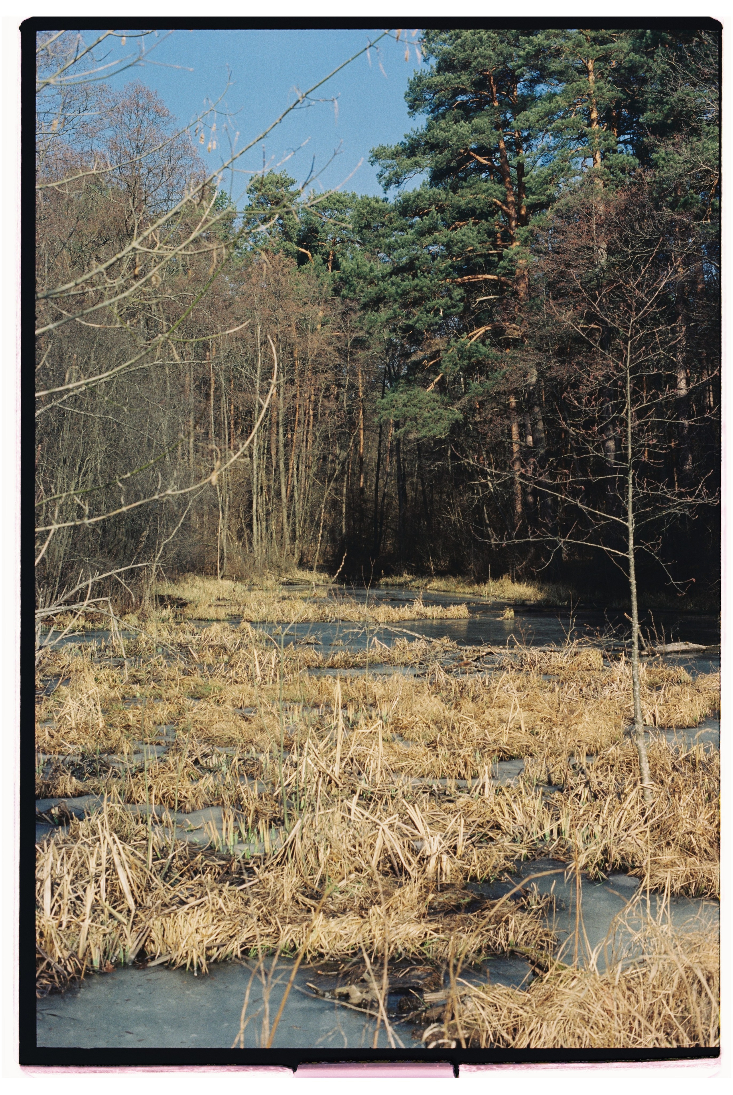 KALUGA. ANNA — PHOTOGRAPHER