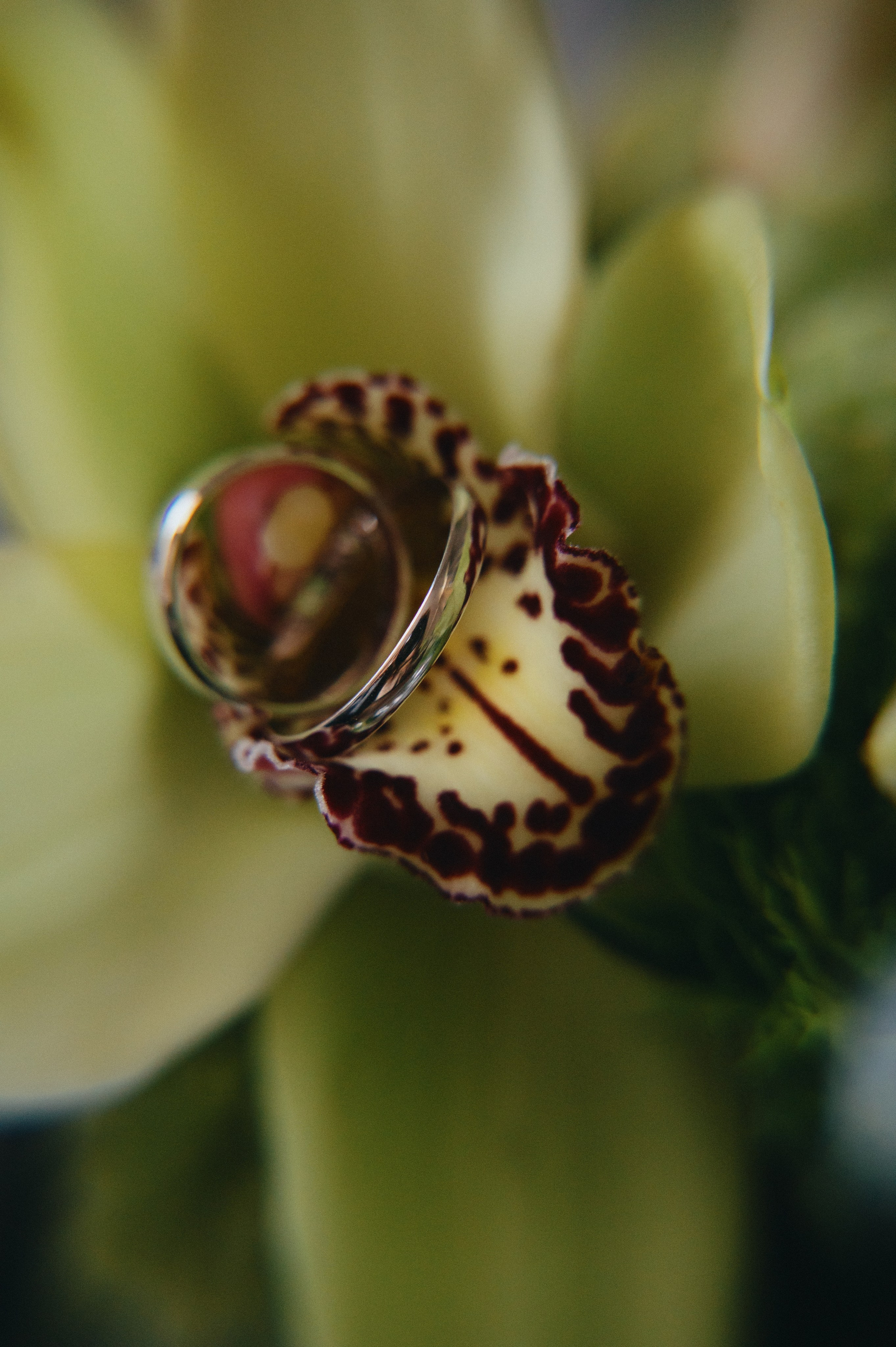 Никита и Ксения. Свадебный фотограф и видеограф