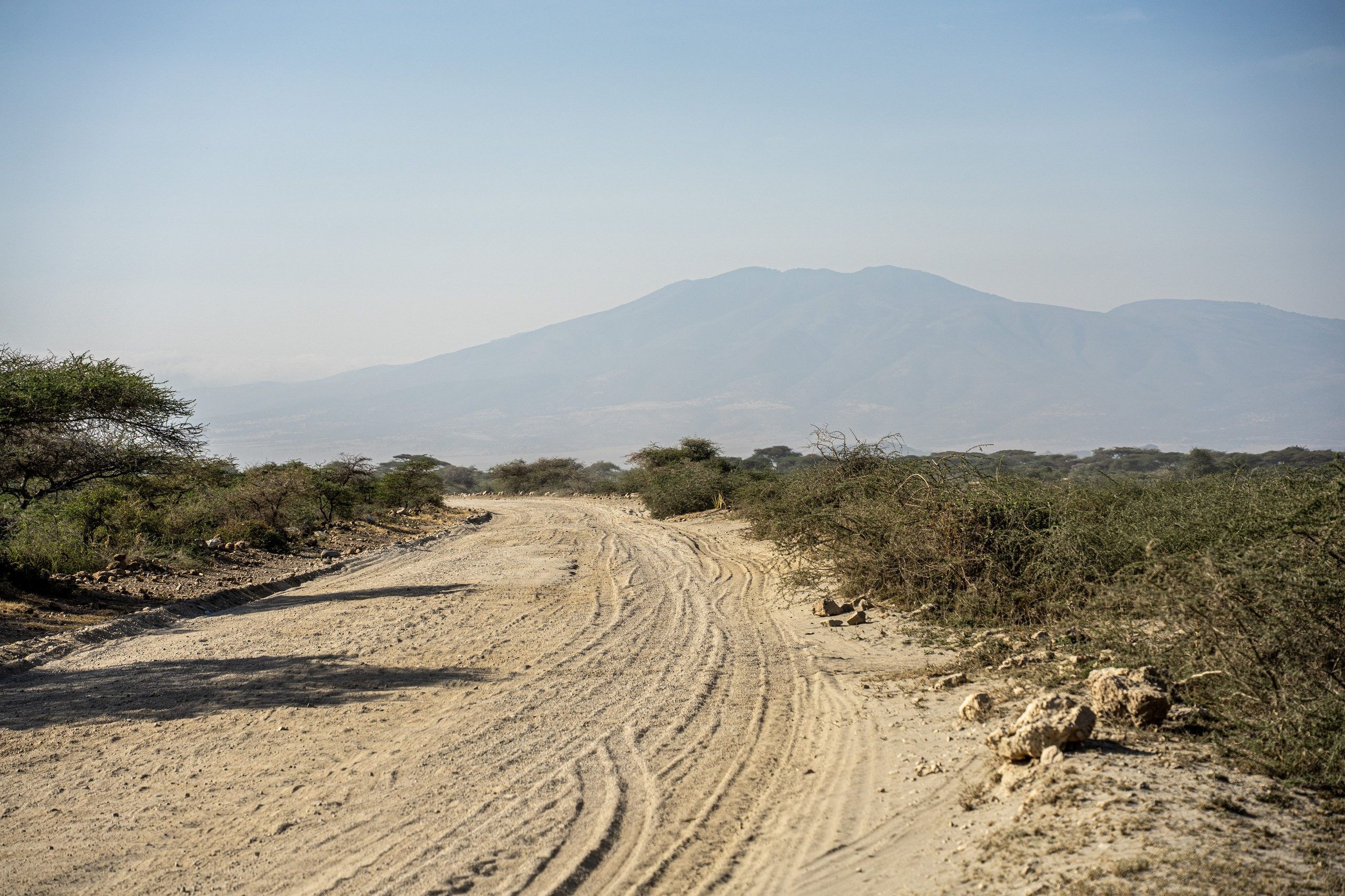 Танзания, сафари, 2025. Творческие сьемки