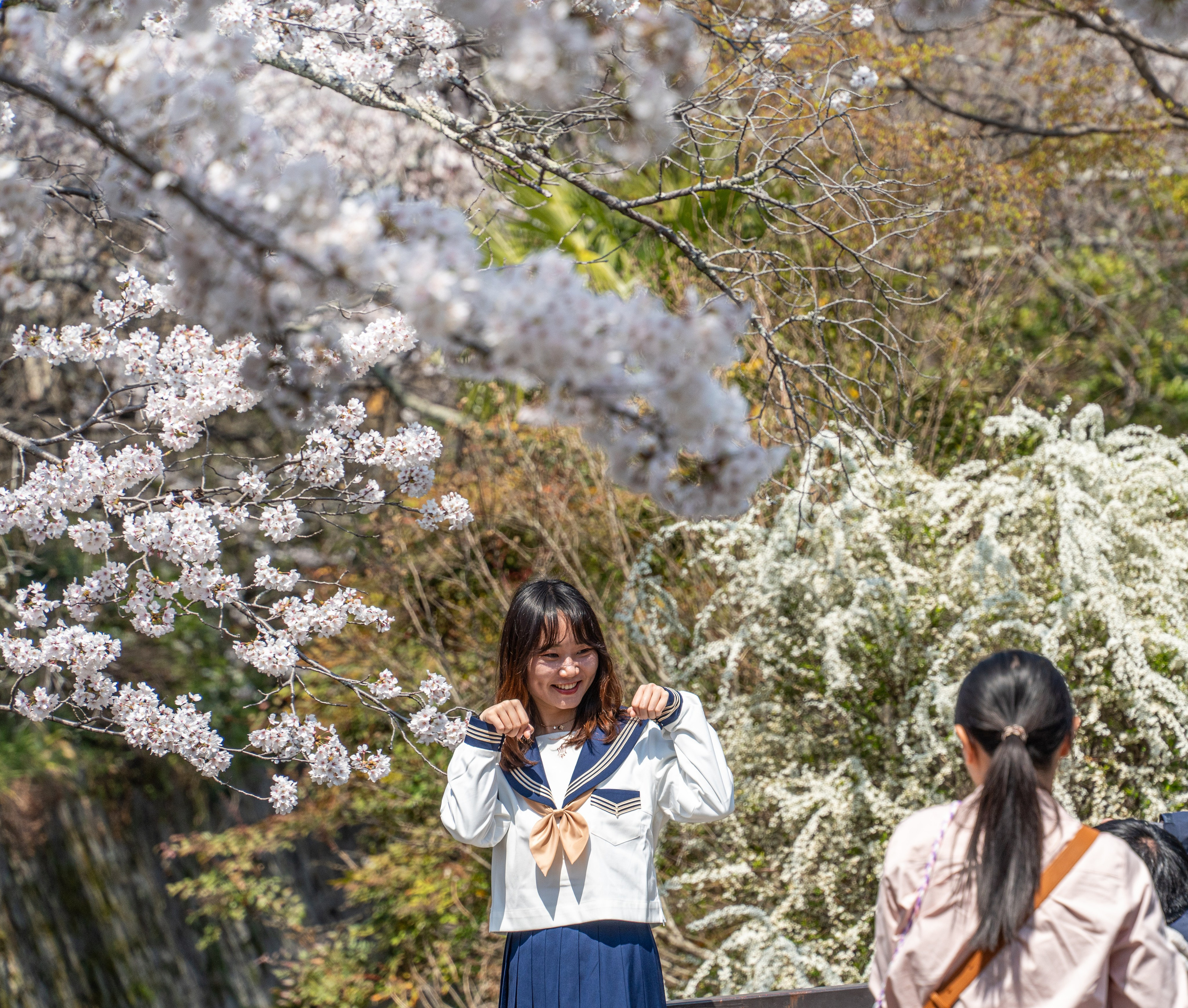 Япония, сакура. Творческие сьемки