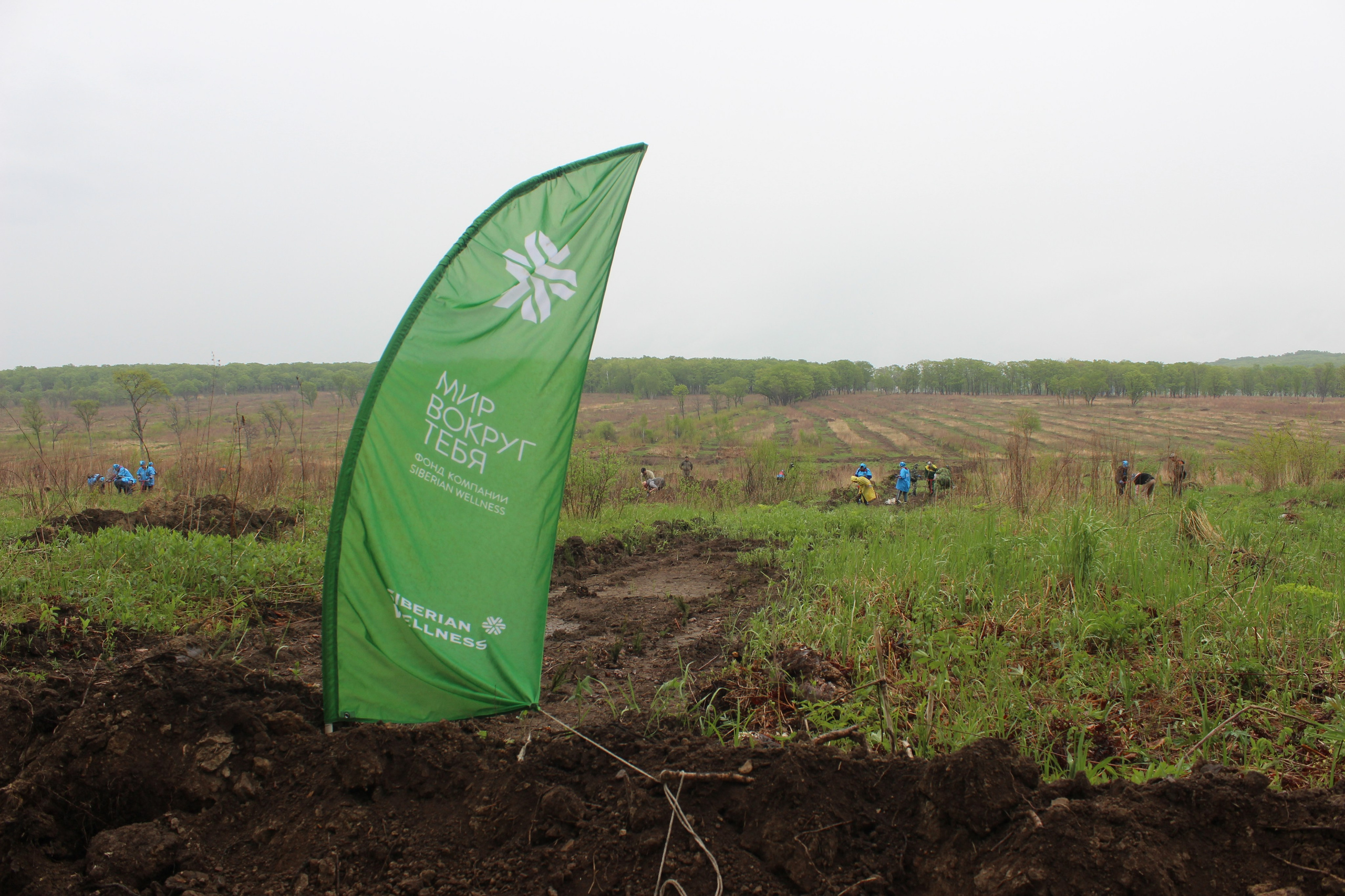 Siberian wellness «100 Га от нас — планете»