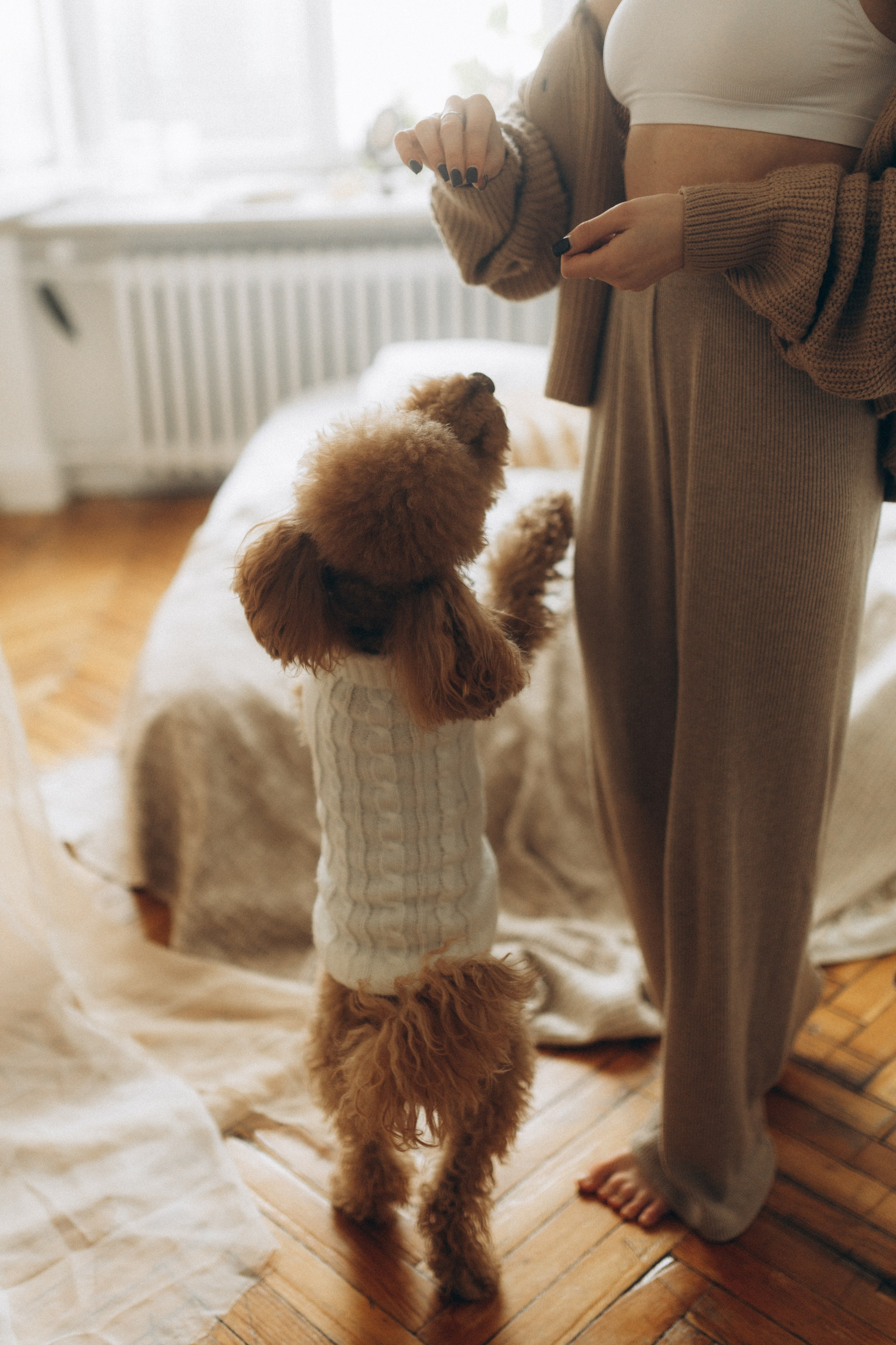 Маша, Ваня & Барни. Фотограф НОГИНСК, Москва, Анастасия Белая
