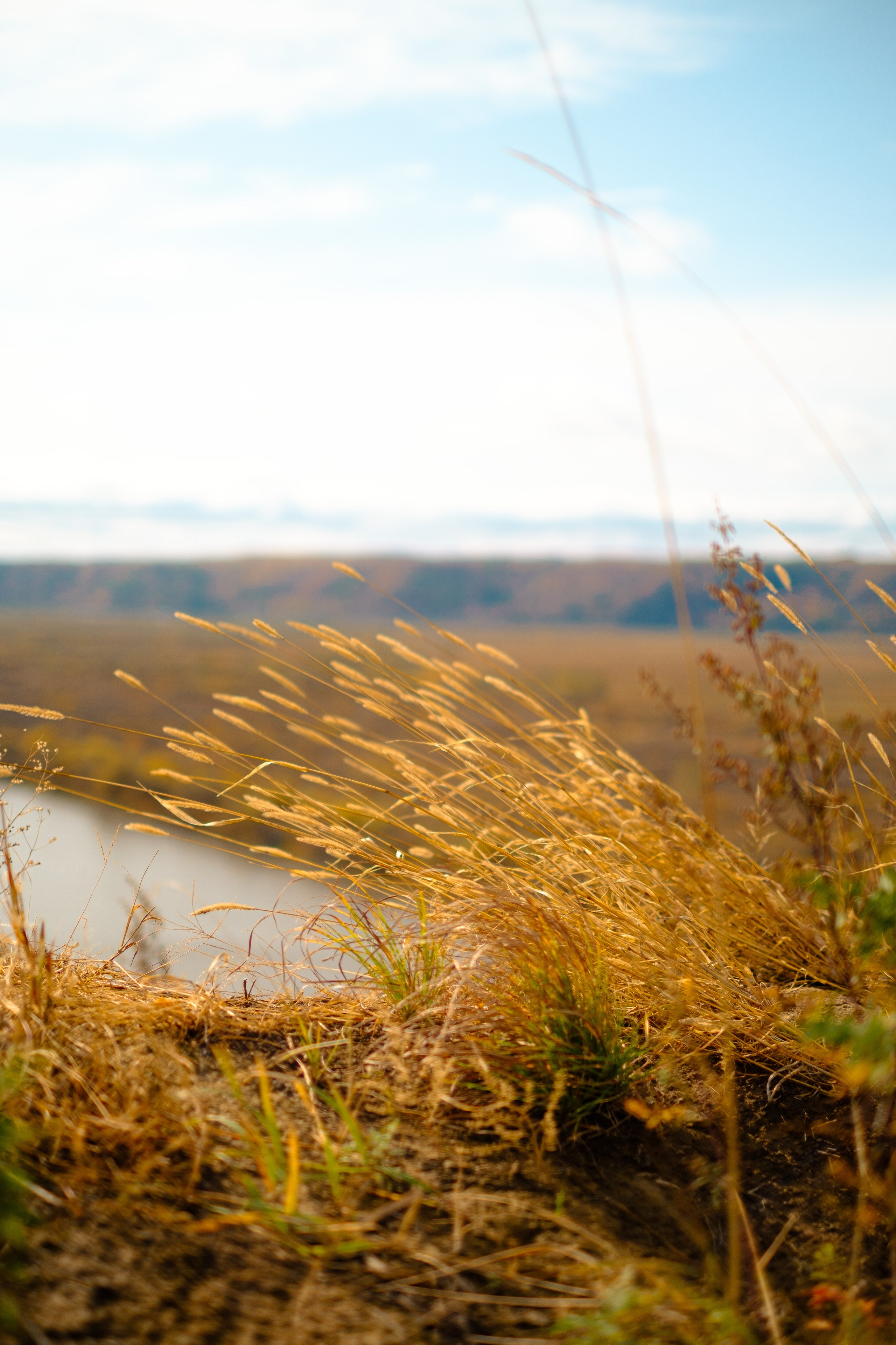 Михайловские столбы осенью. Фотограф Благовещенска Яна