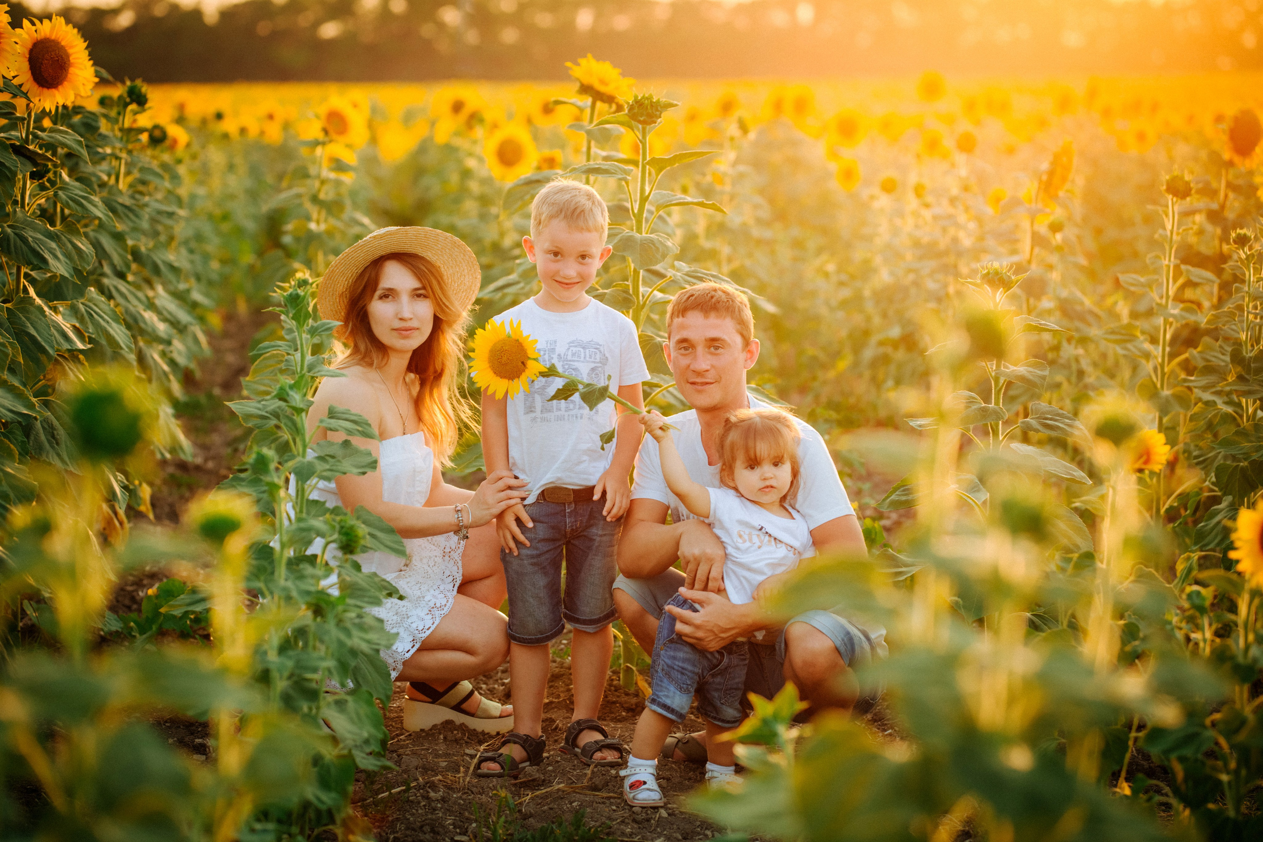 Подсолнухи!. Семейный, детский, свадебный, фотограф в городе Анапа