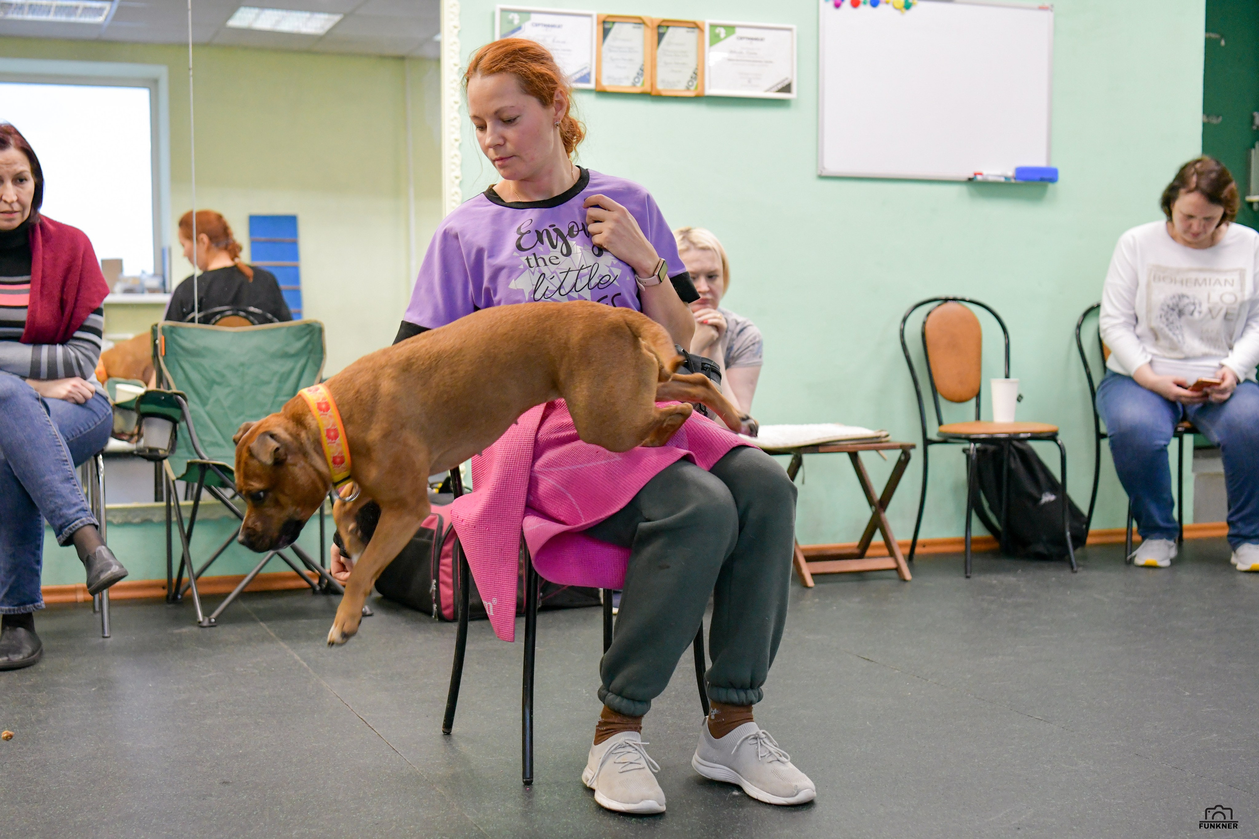 Кинологический клуб «Бодрый хвост». Свой взгляд через объектив