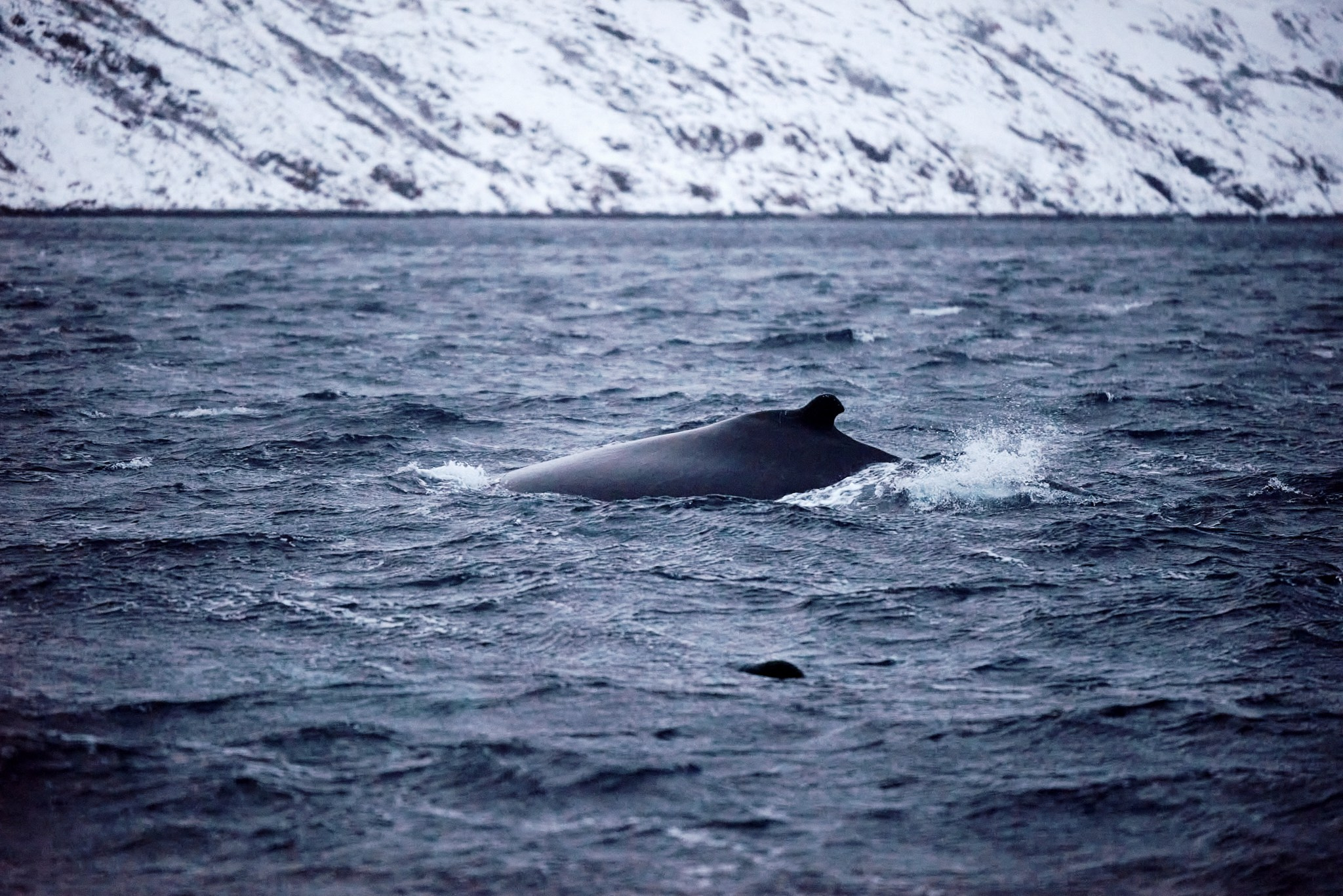 Путешествие в Арктику в 2023 году. Внедорожные путешествия — OFFROADTRIP