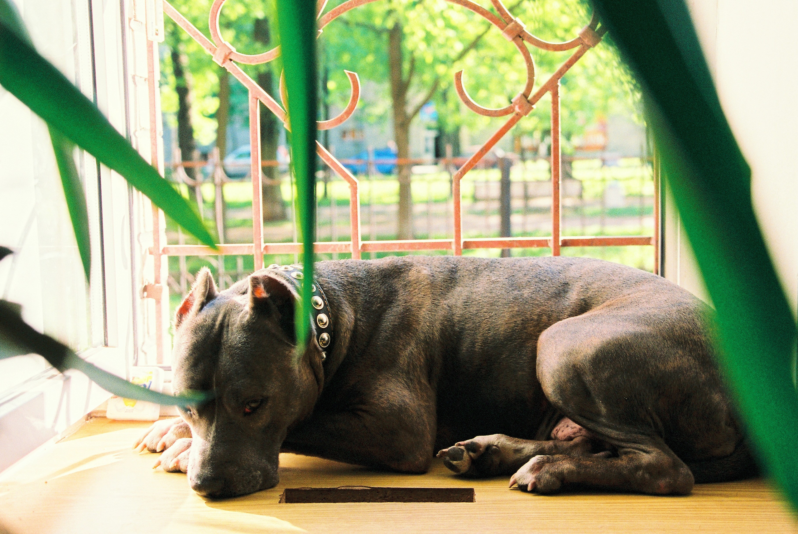 Film. Ruslan UI Dev Page