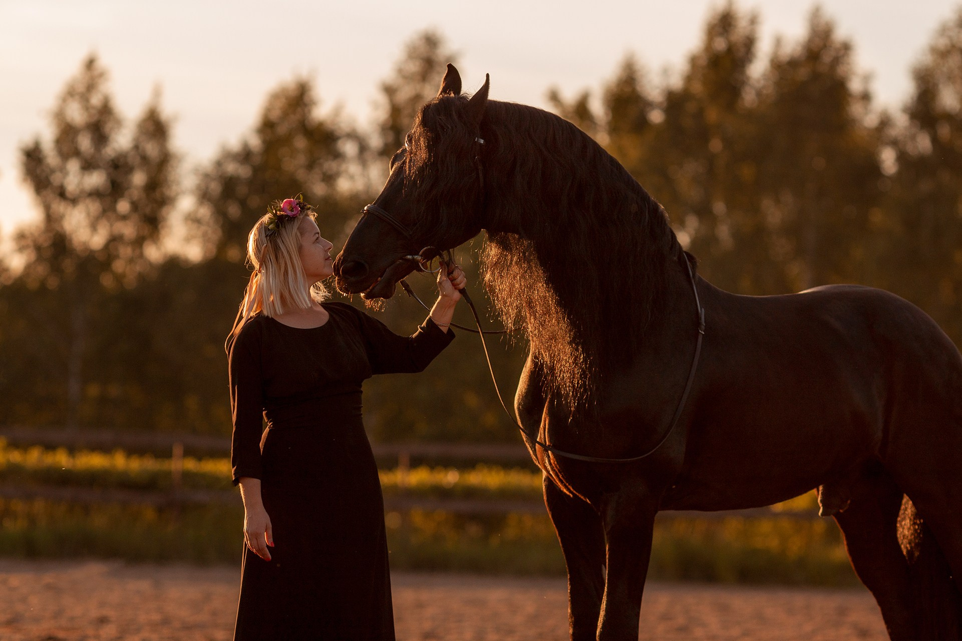 Фотосессии с лошадьми. Фотосессии с лошадьми в Москве от Конный фотографа Кутейниковой Светланы