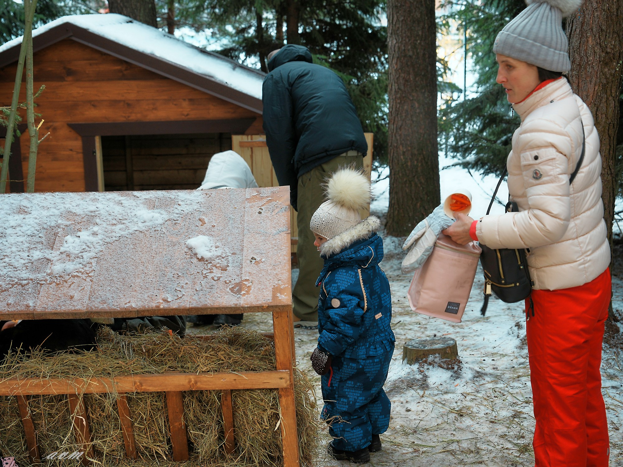 Новый год 2024-2025 Охта Парк. Фотограф Михеев Андрей