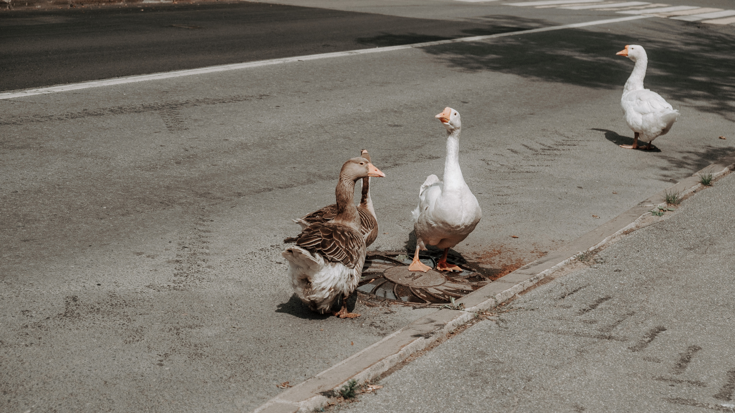 Катя & Вова. Фотограф Мария Хлебникова Санкт-Петербург Москва