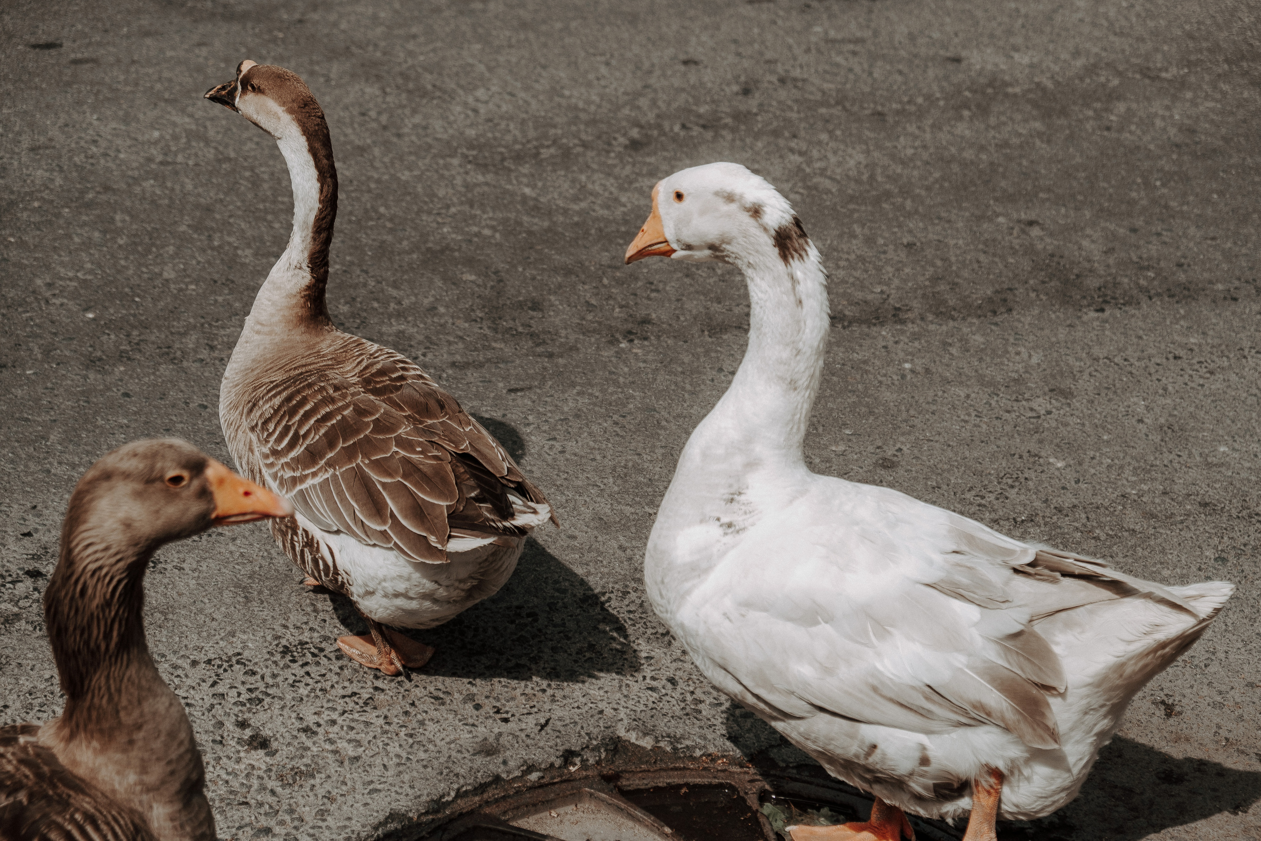 Катя & Вова. Фотограф Мария Хлебникова Санкт-Петербург Москва