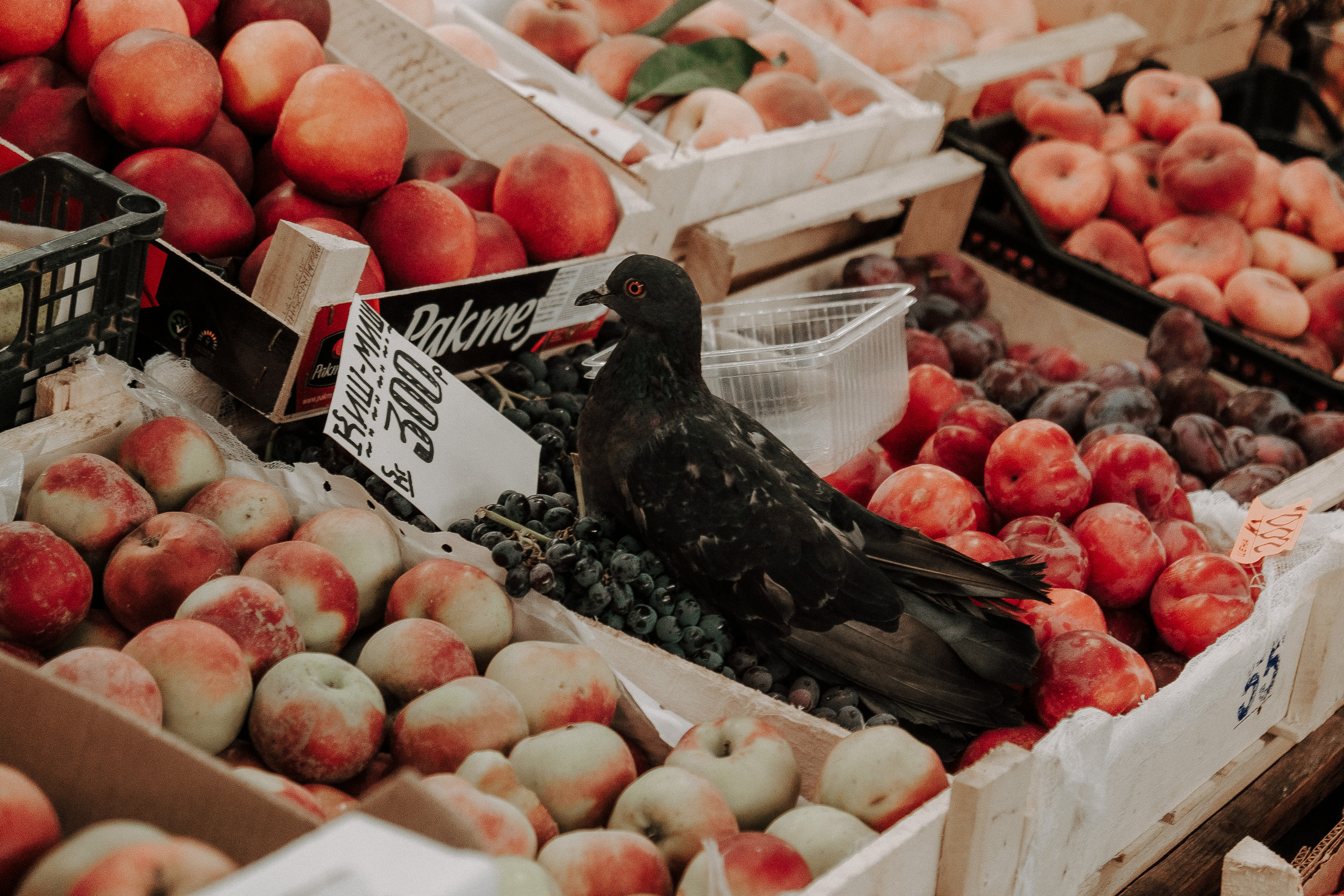 Катя & Вова. Фотограф Мария Хлебникова Санкт-Петербург Москва