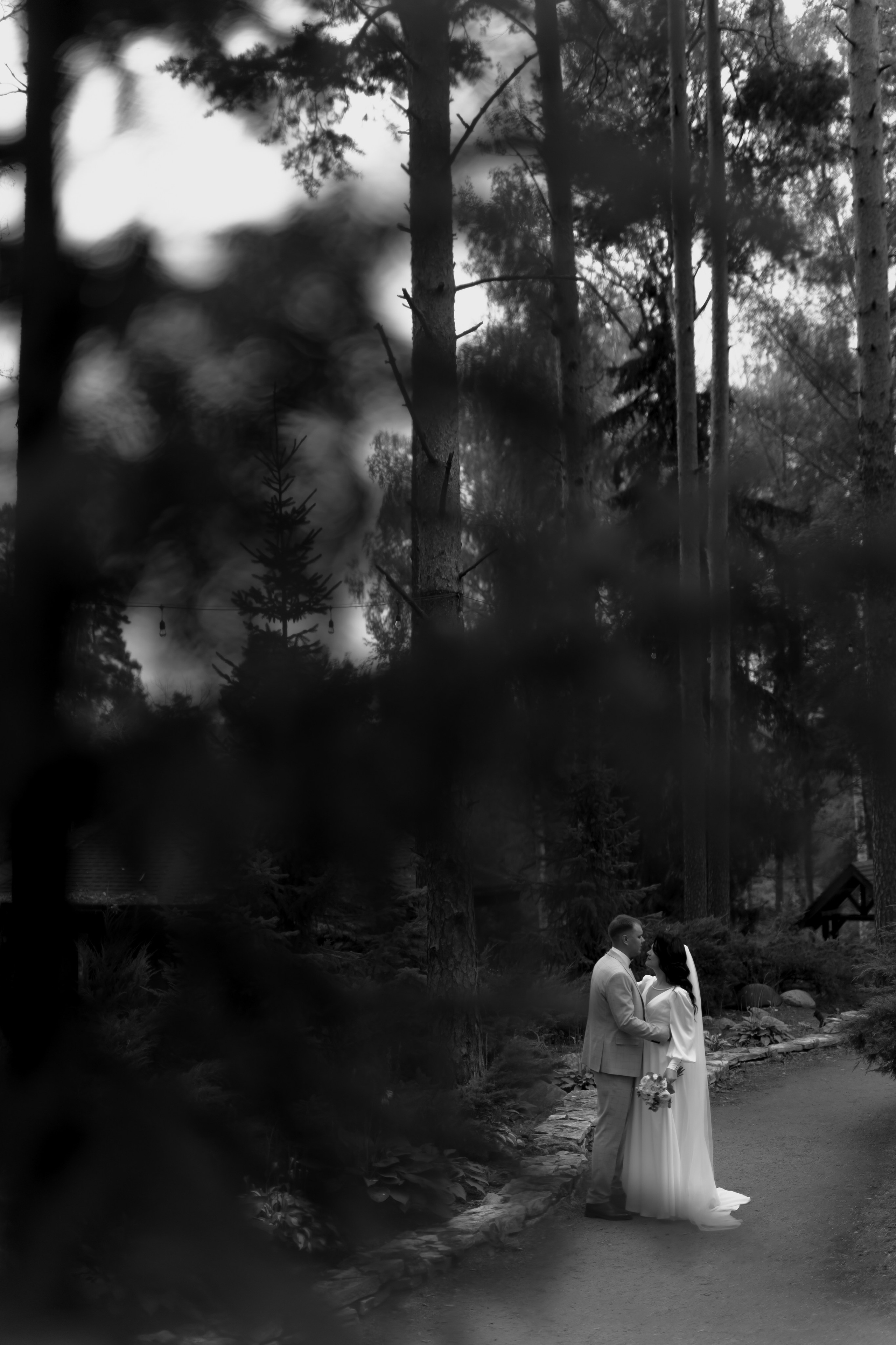 Свадьба Максима и Анны. Фотограф Кольчугино/Владимир/Москва Елизавета Иода