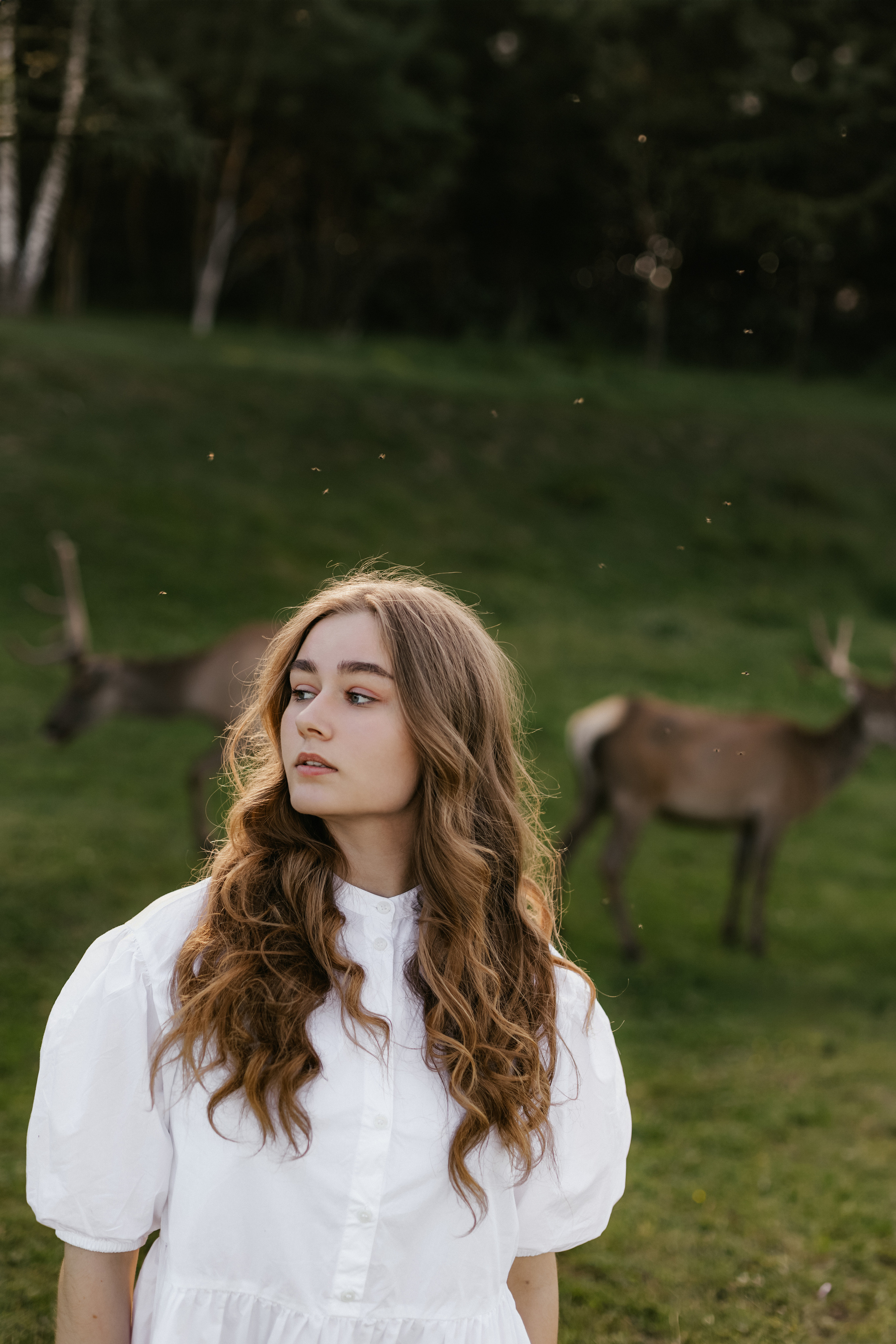 Ярослава | Конное ранчо «Аванпост». Кузьмина Анастасия — контент-фотограф | Москва