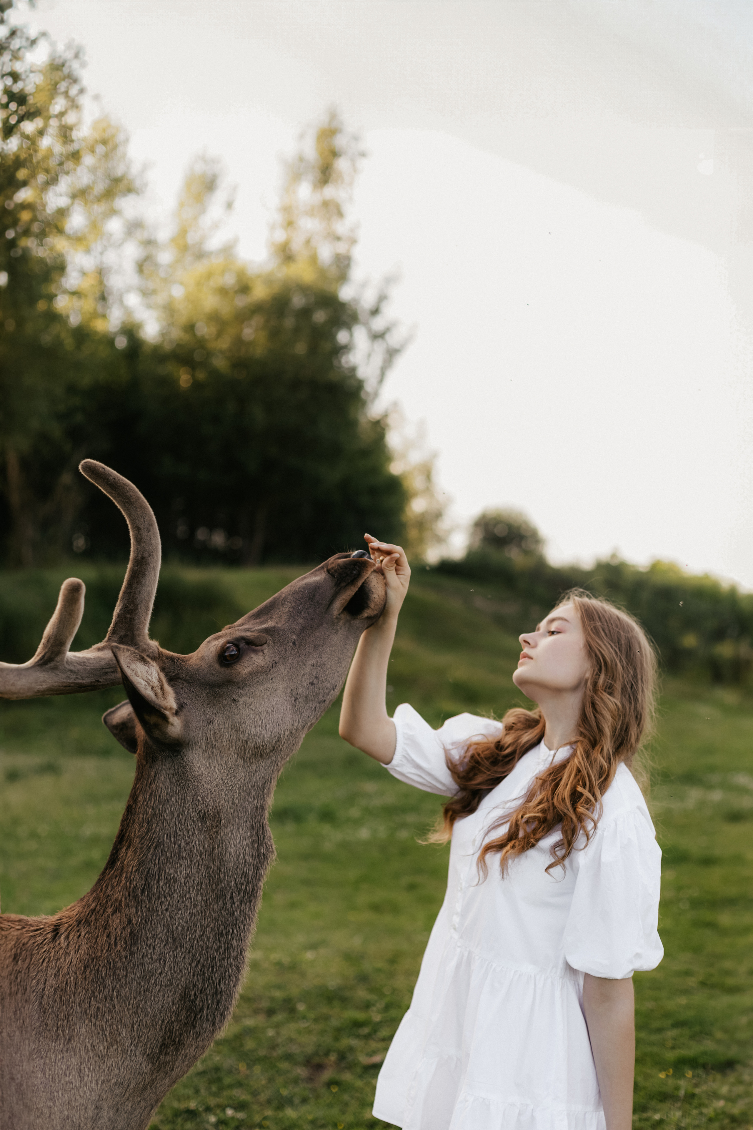 Ярослава | Конное ранчо «Аванпост». Кузьмина Анастасия — контент-фотограф | Москва