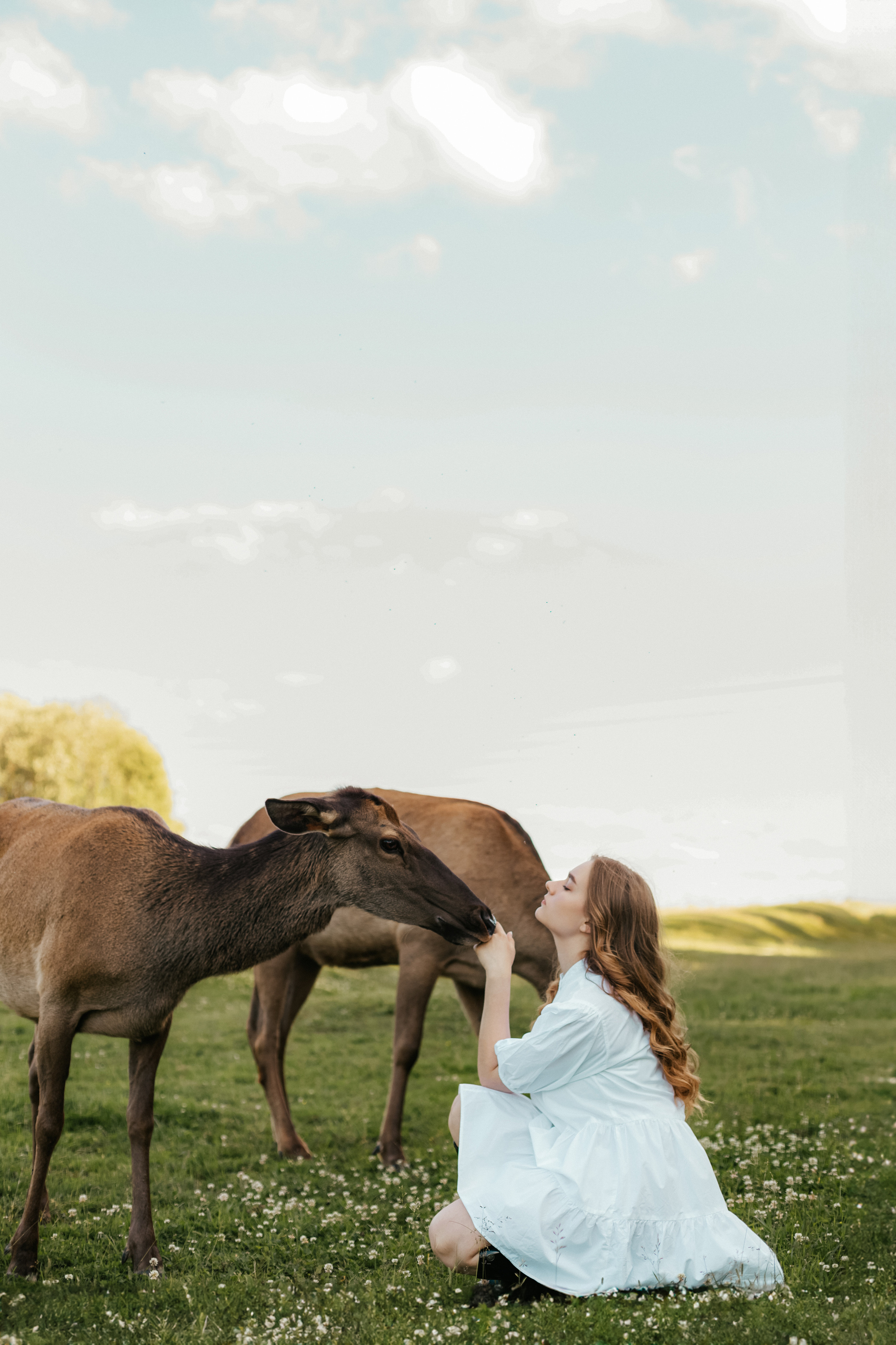 Ярослава | Конное ранчо «Аванпост». Кузьмина Анастасия — контент-фотограф | Москва