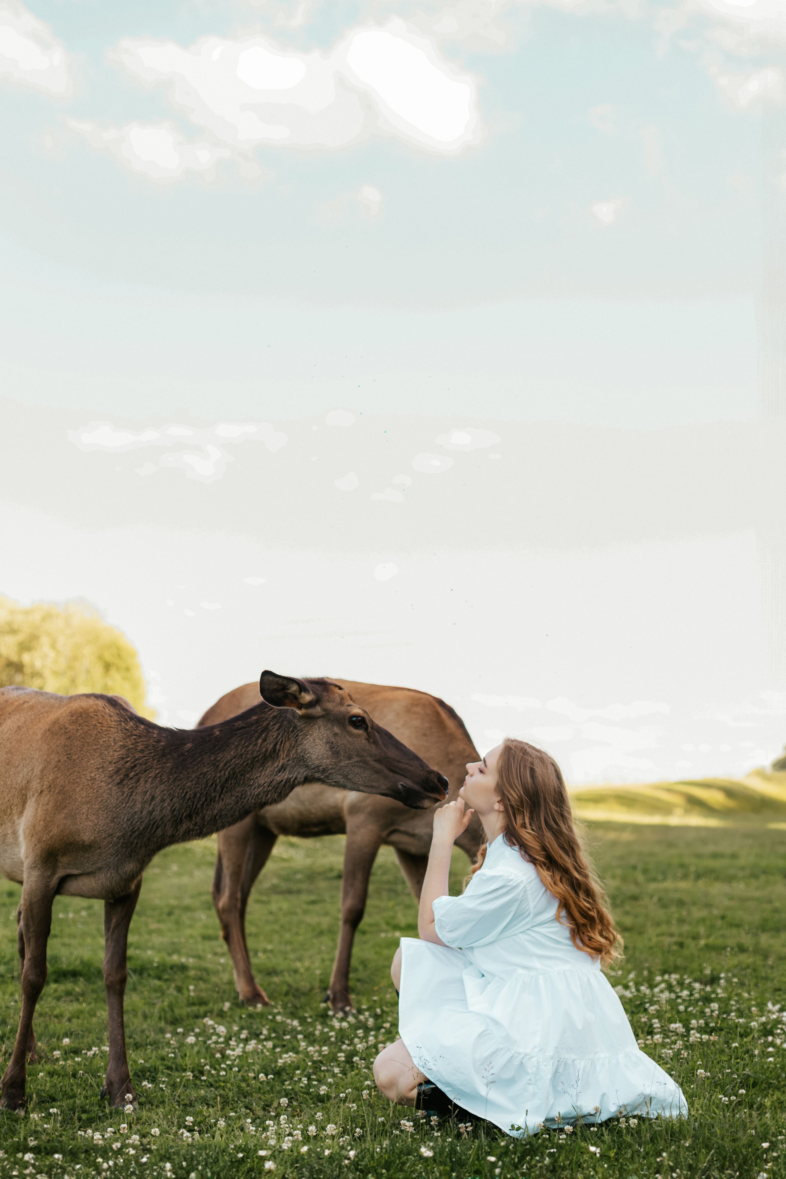 Ярослава | Конное ранчо «Аванпост». Кузьмина Анастасия — контент-фотограф | Москва