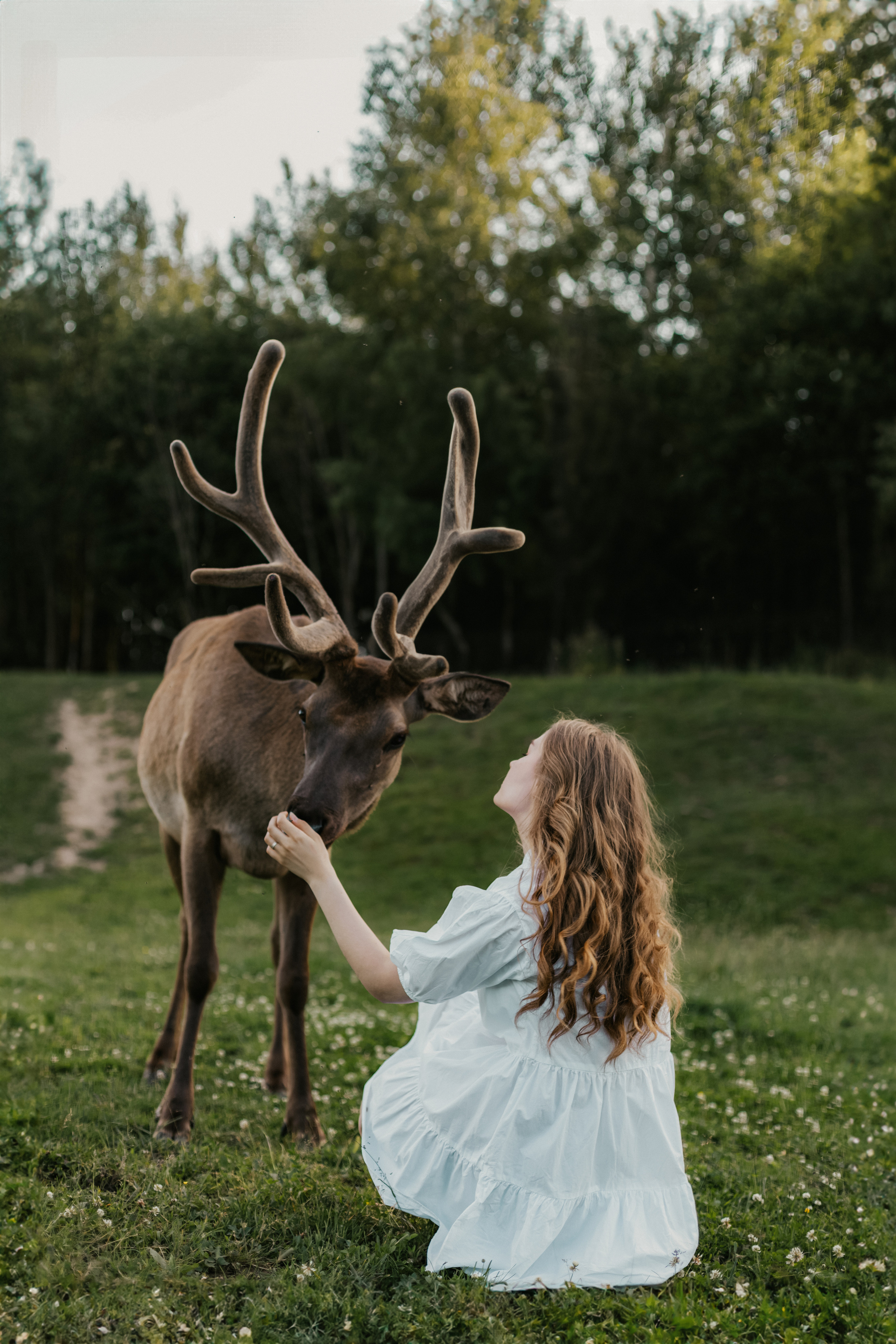 Ярослава | Конное ранчо «Аванпост». Кузьмина Анастасия — контент-фотограф | Москва