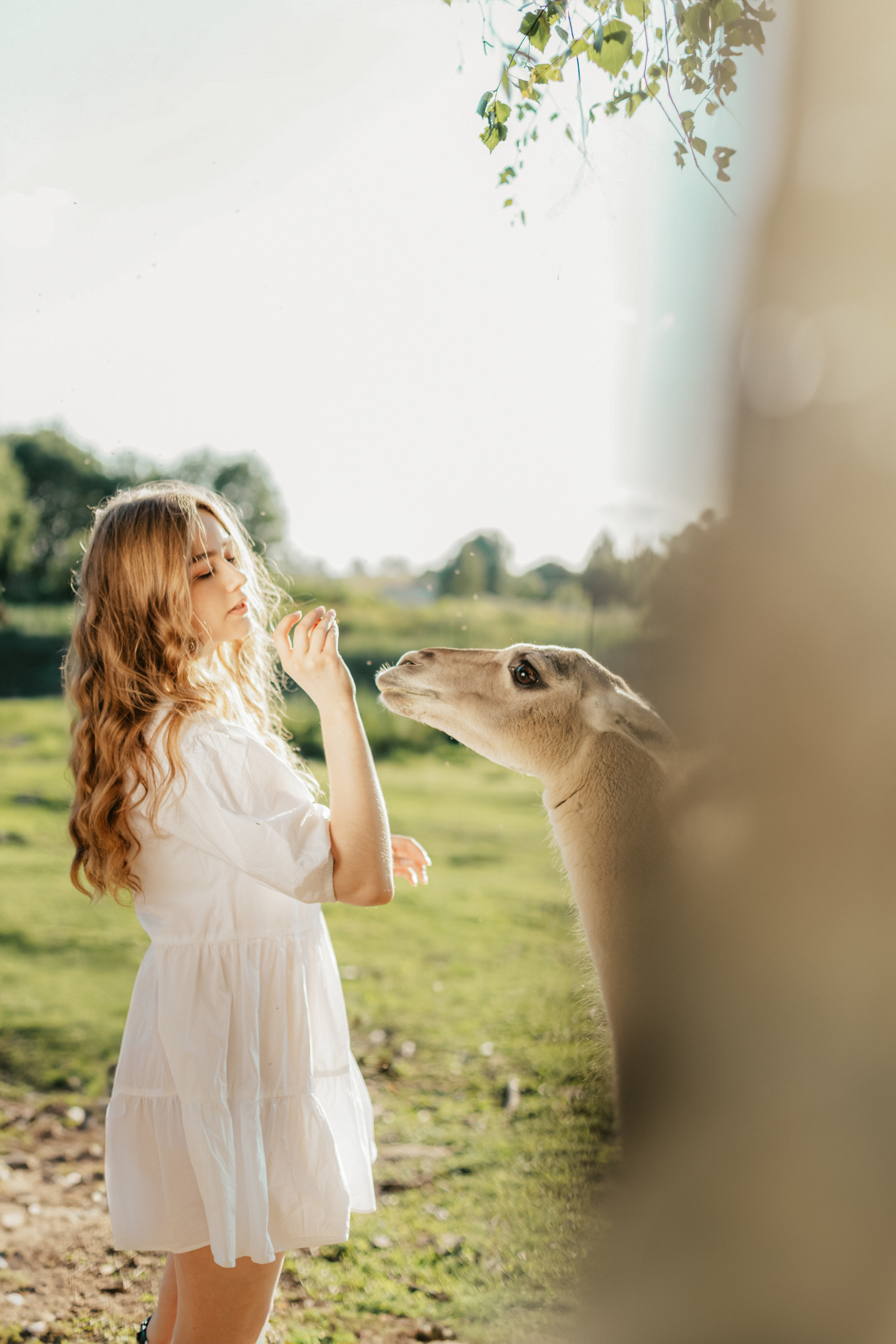 Ярослава | Конное ранчо «Аванпост». Кузьмина Анастасия — контент-фотограф | Москва