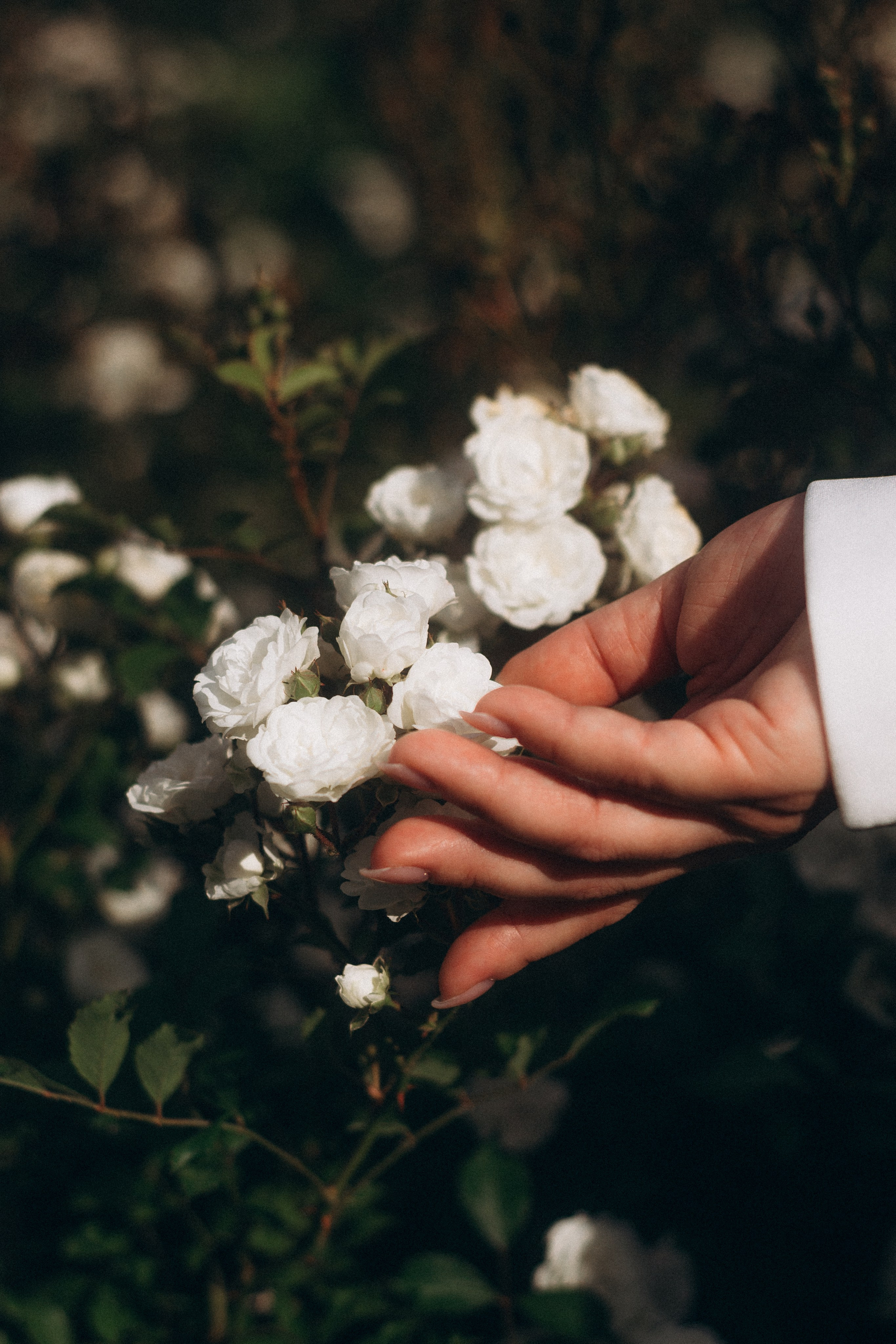 Лавстори в Митинском парке