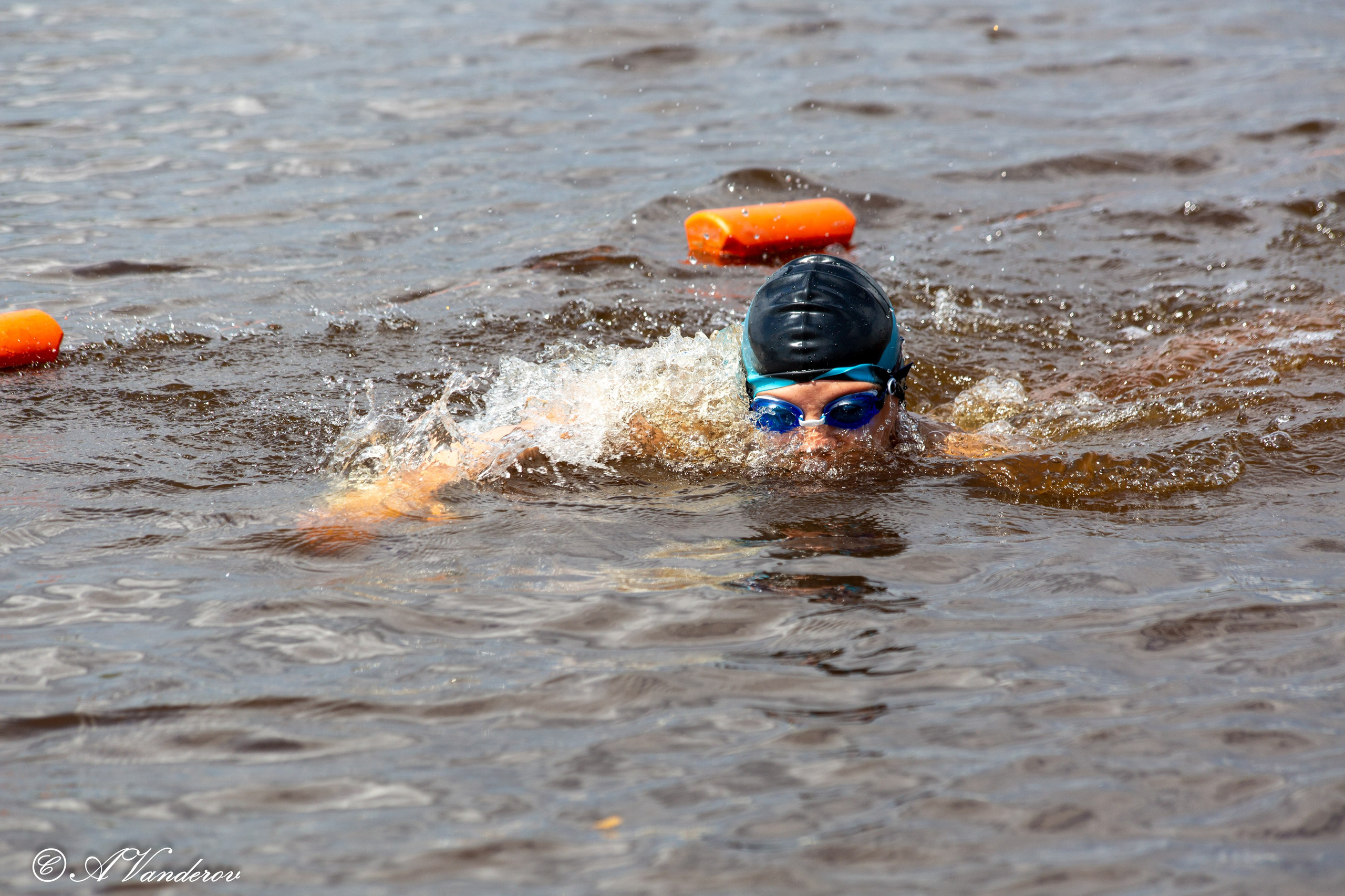 Заплыв 02.06.2024. Фотограф Омск | Александр Вандеров
