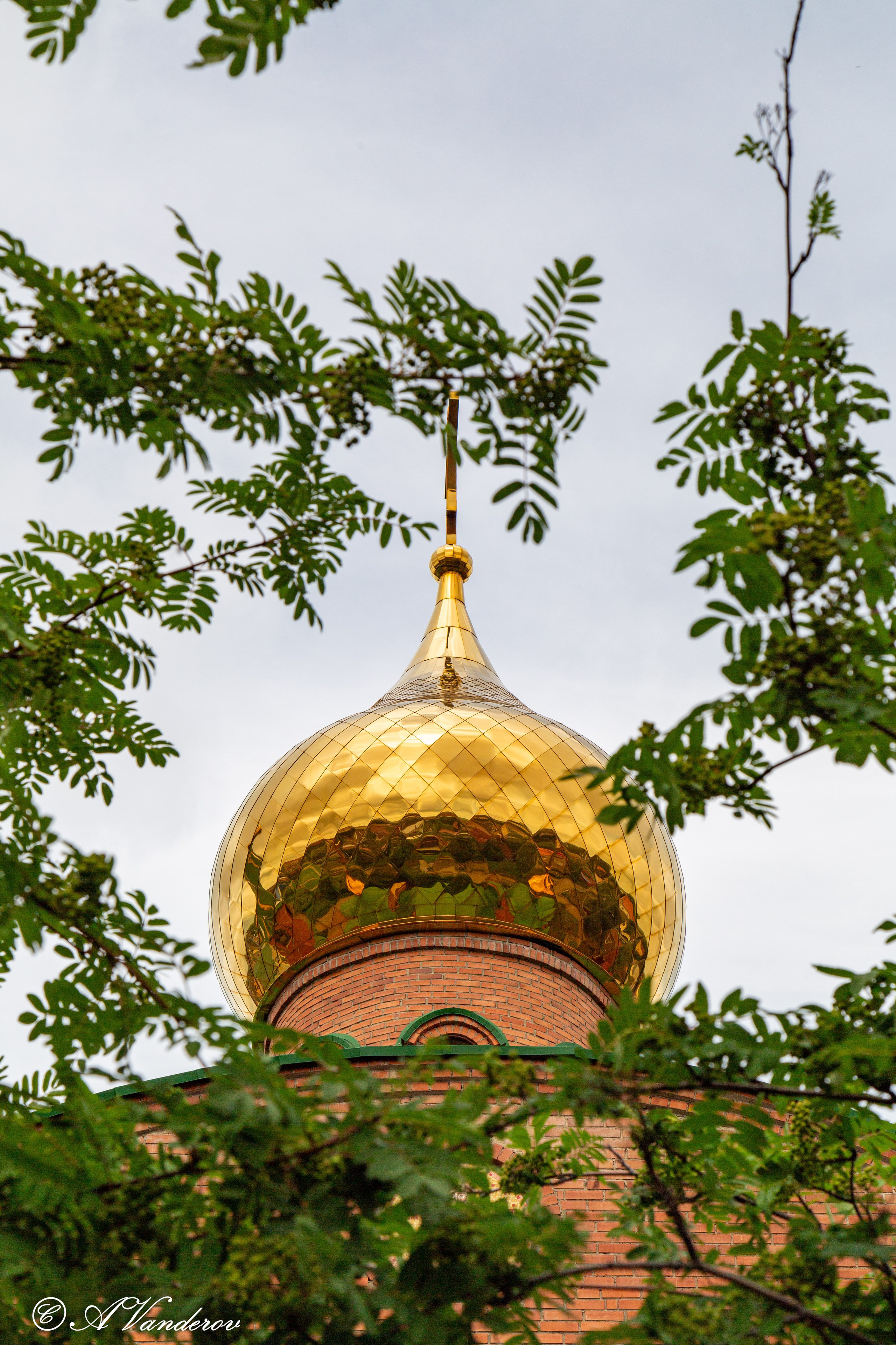 Калачинск 07.07.2024. Фотограф Омск | Александр Вандеров