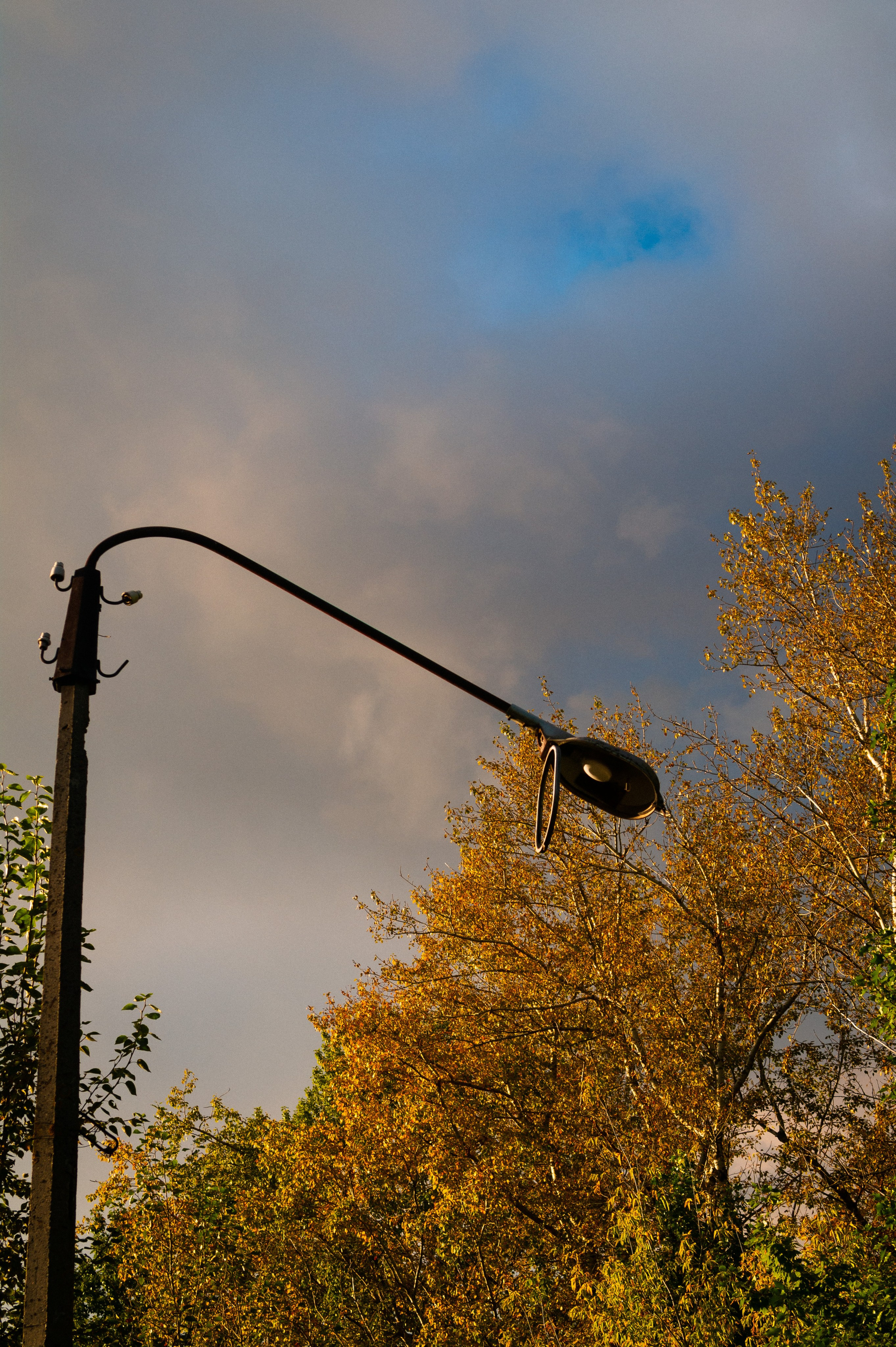 Октябрь 2025. Den Mirov — Фотограф, Музыкант