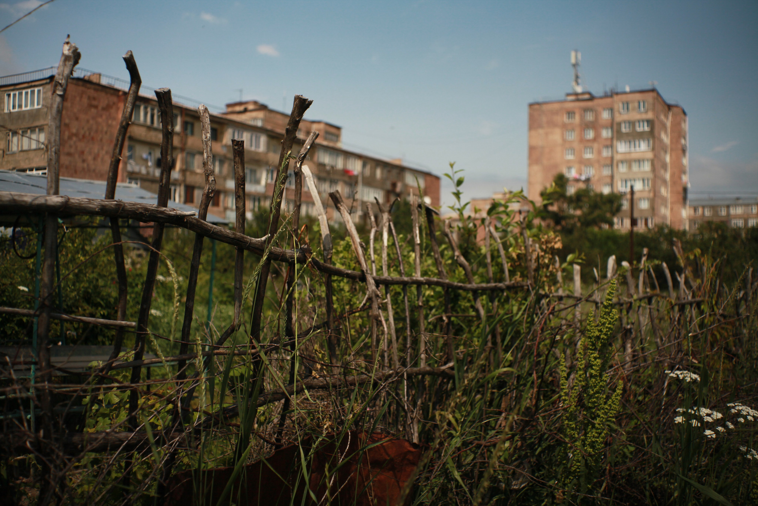 Coolness. Den Mirov — Photographer, Musician