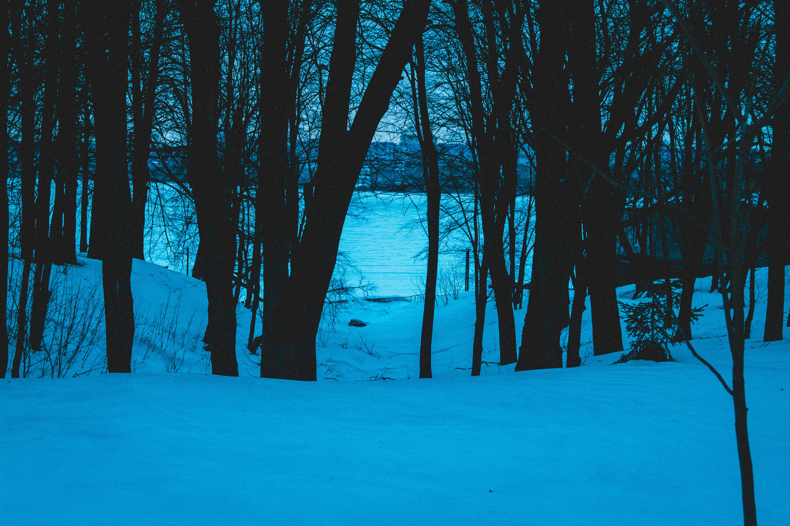 Remnants of Winter. Den Mirov — Photographer, Musician